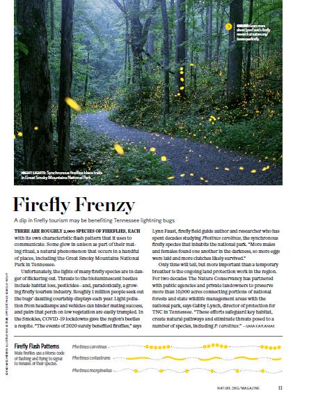 The cover of a magazine article features a photo of yellow lights of fireflies lighting up a dark night sky.