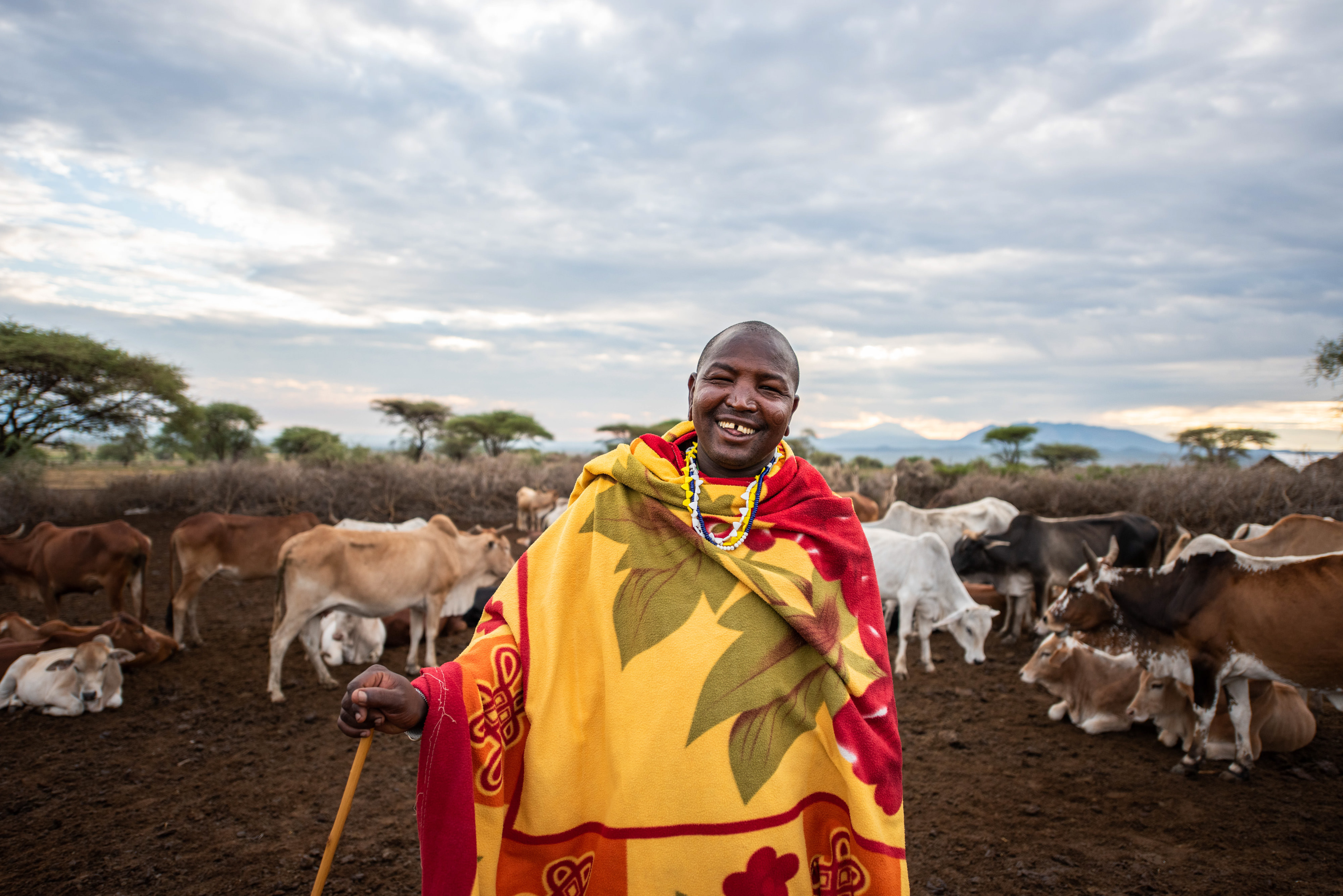 Una persona de Tanzania sonríe. Al lado, el ganado.
