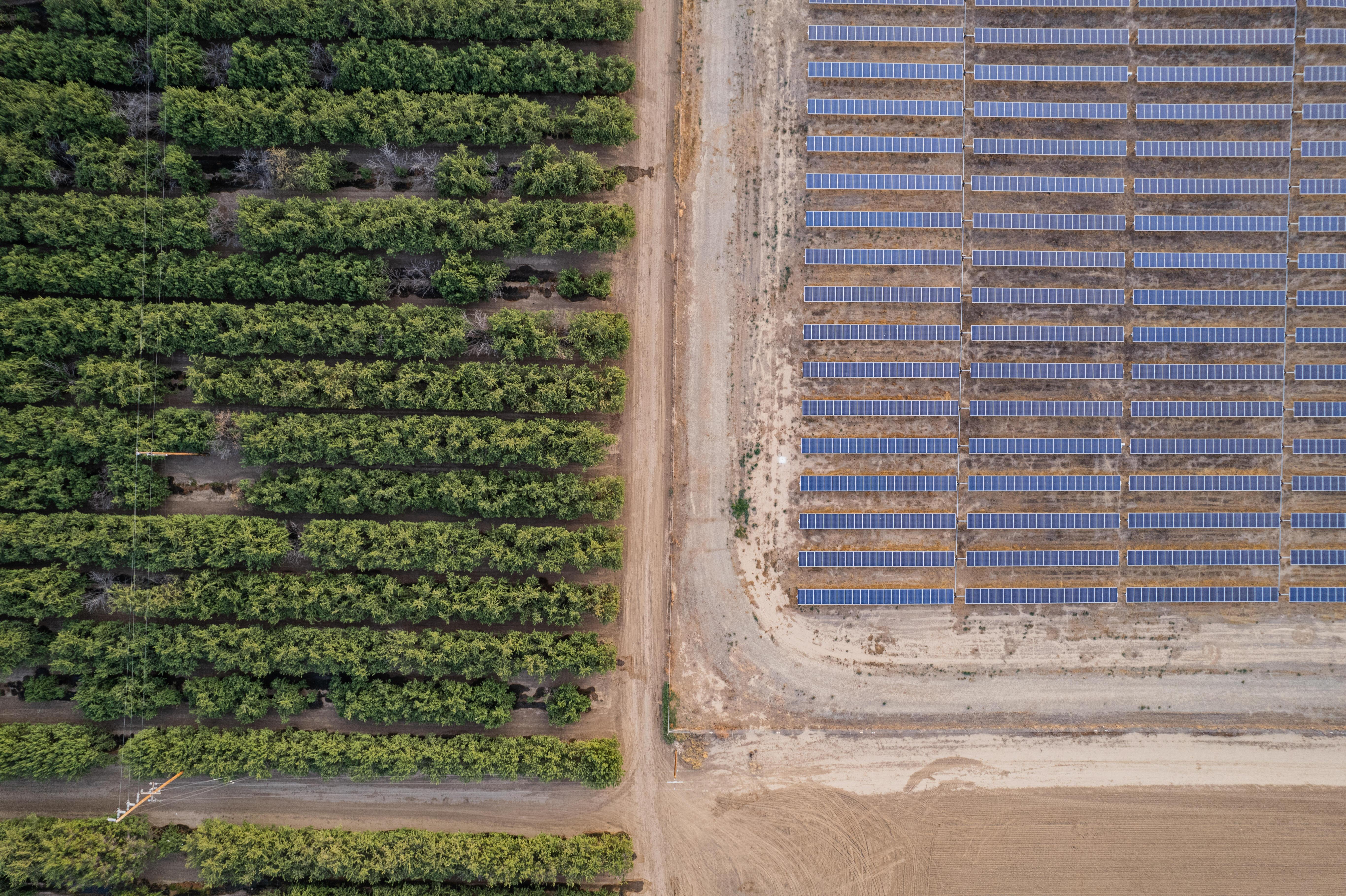 aerial view of solar panels next to orchards