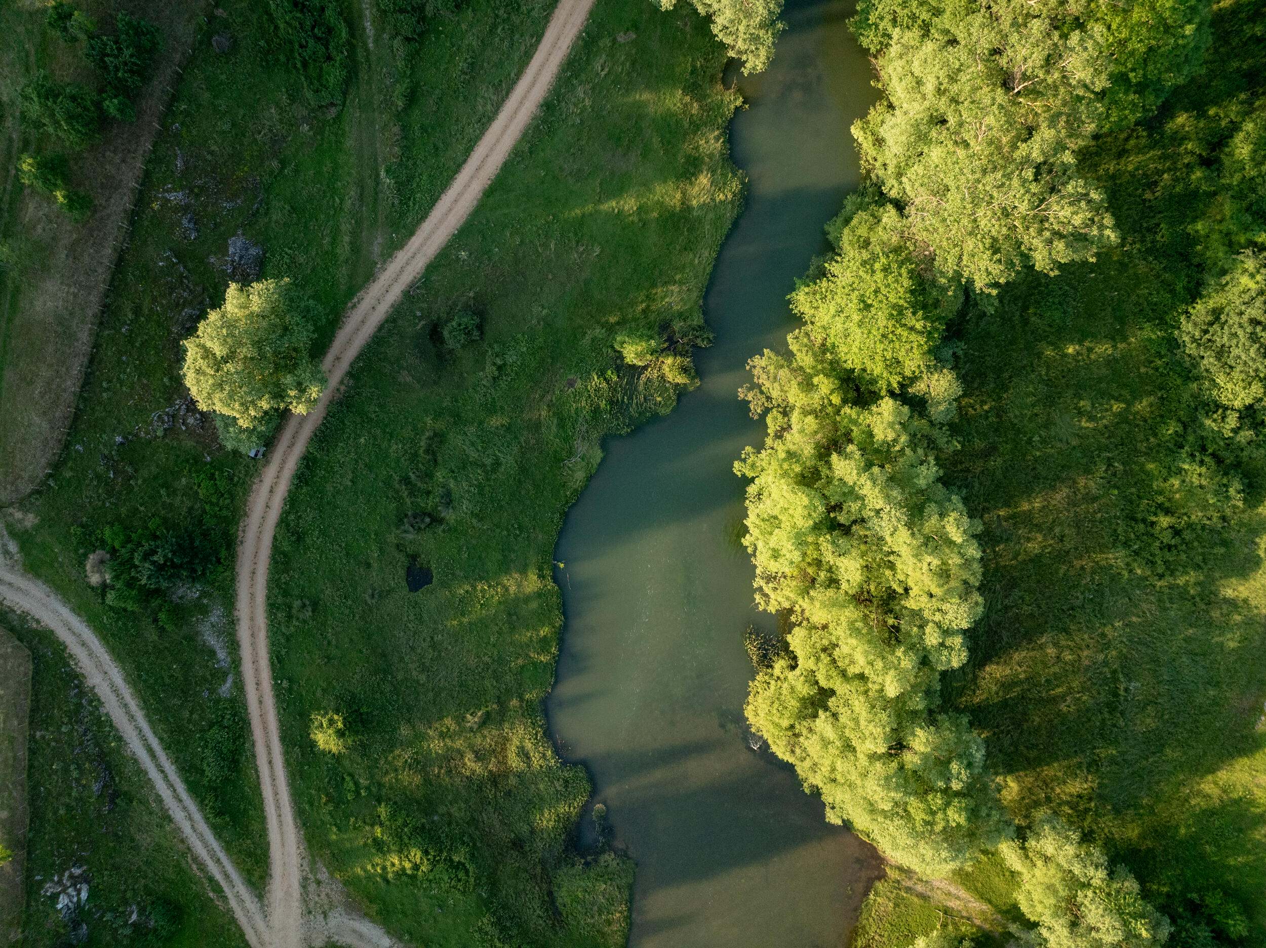 aerial view of a river through green landscape