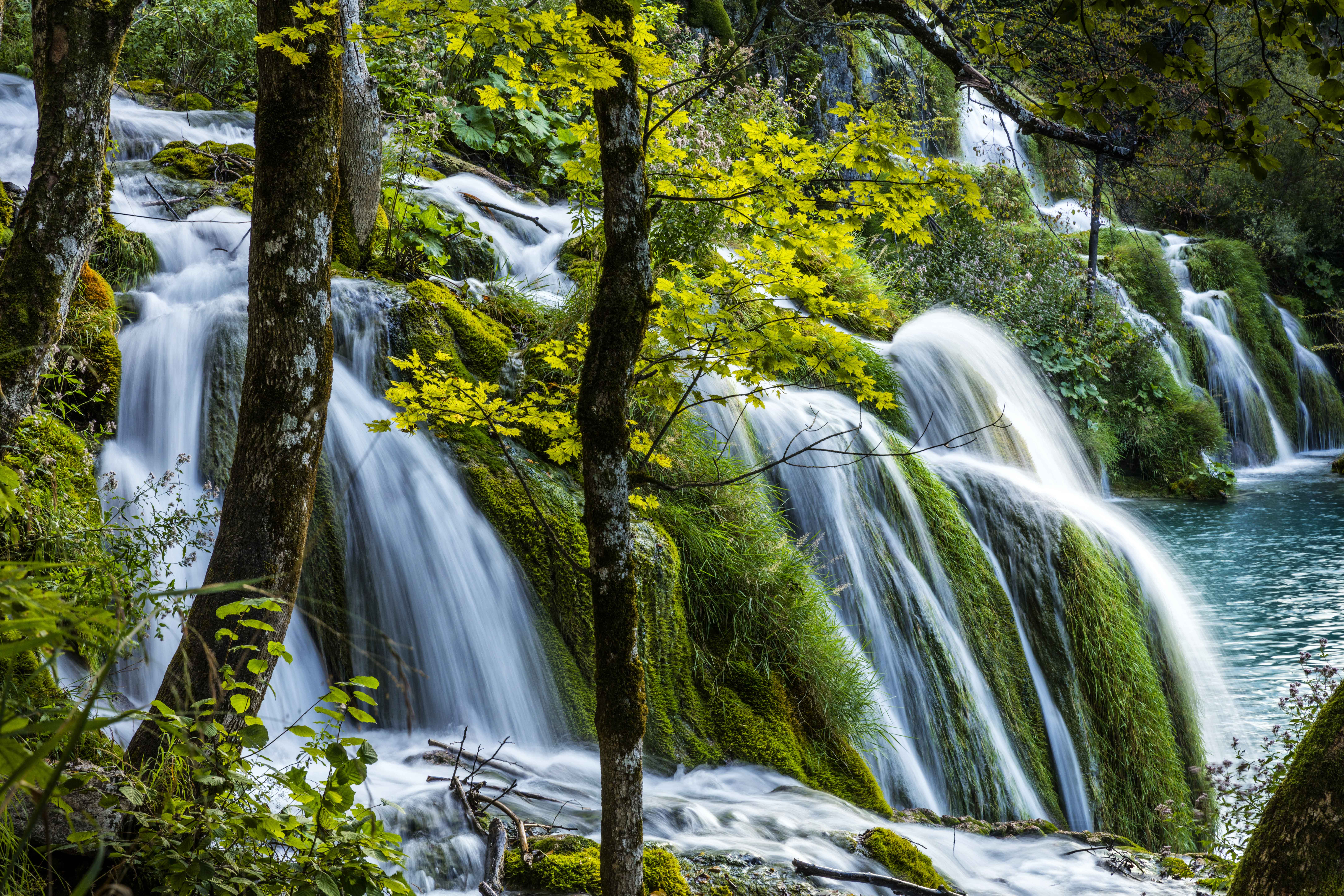 Water streams and falls over mossy rocks and banks.