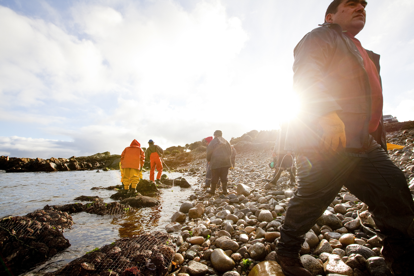 Six people walk along a rocky coastline with nets. 