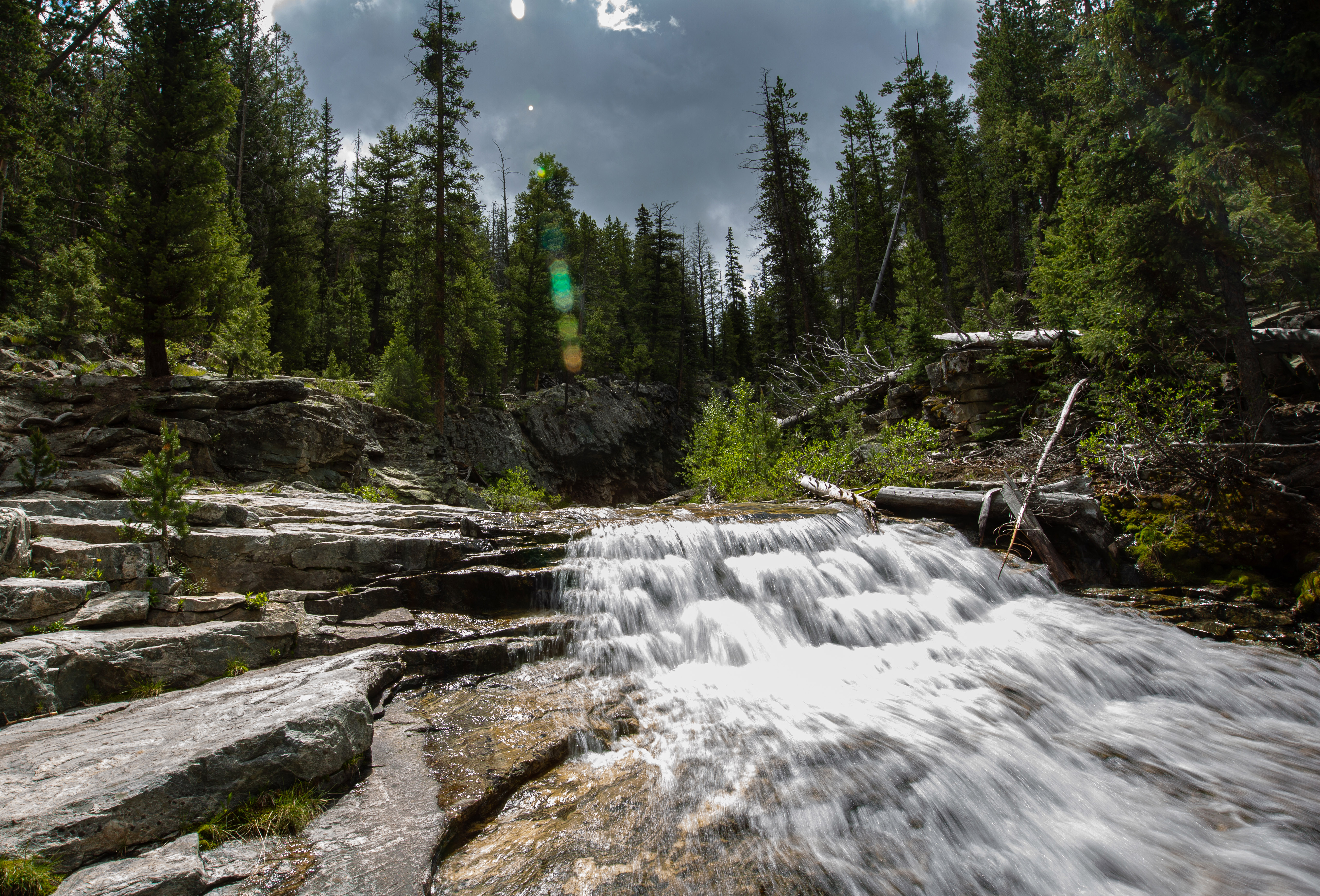 Blurred water tumbling over rocks through a forest. 