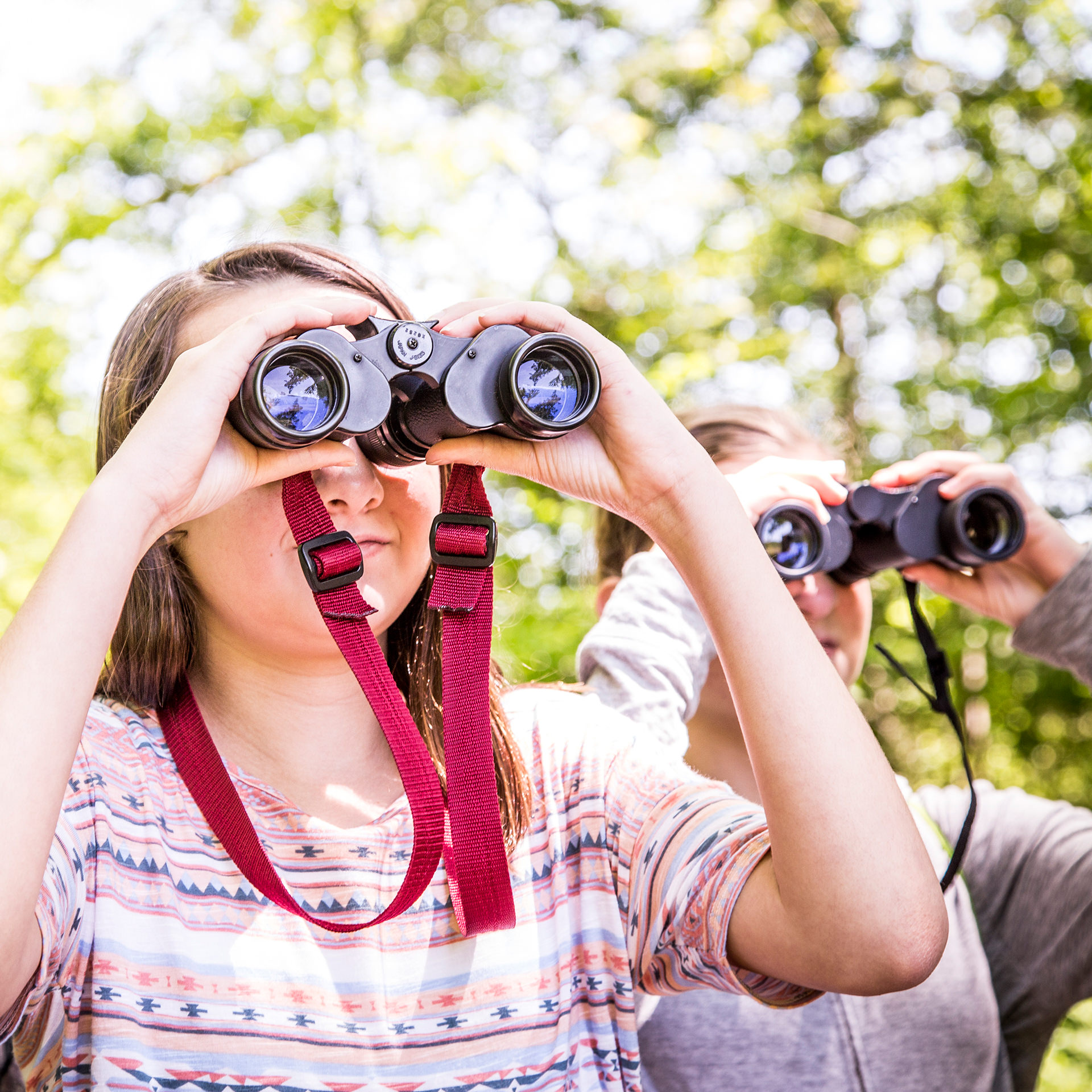Two people look through binoculars to watch birds. 