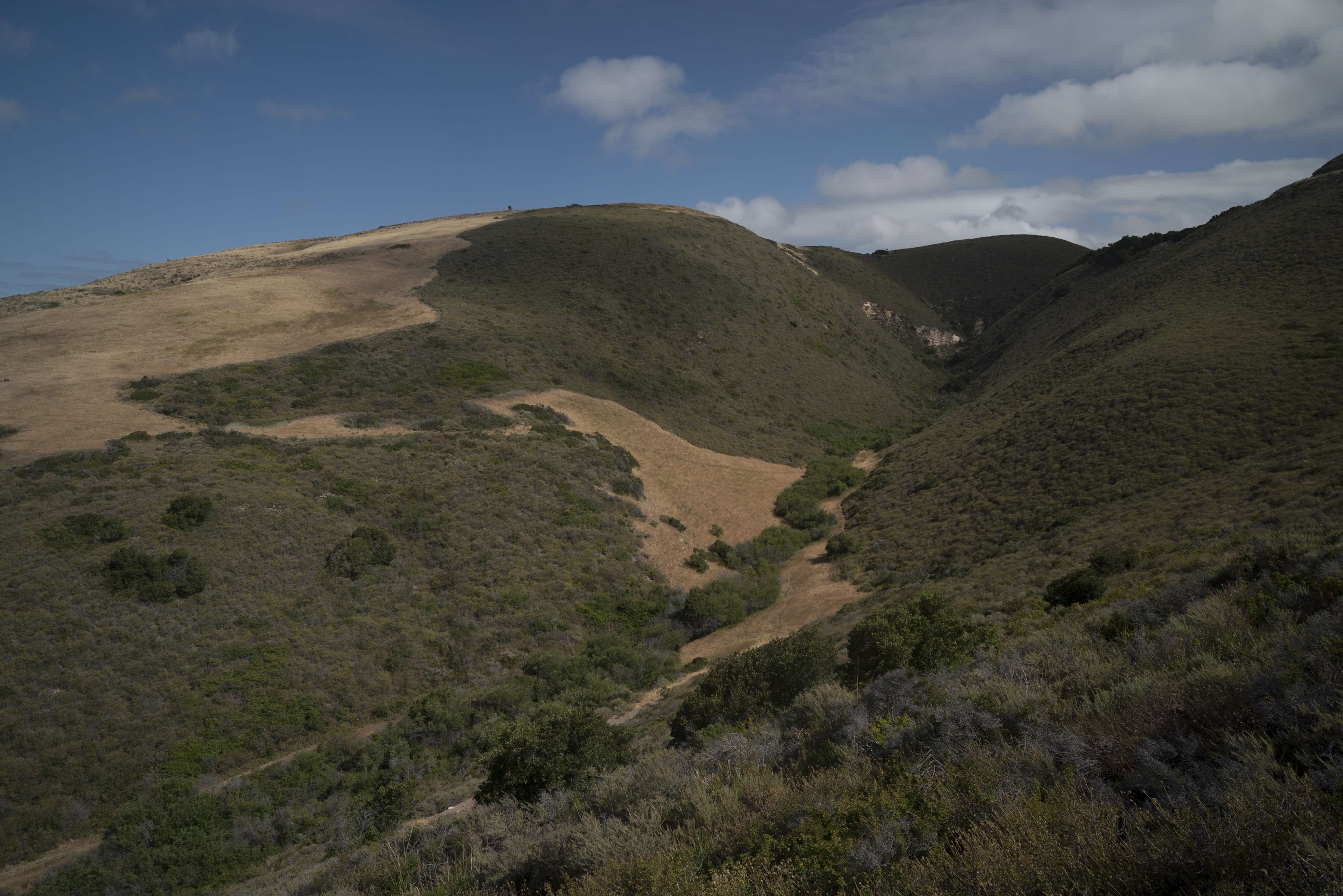 Chaparral y matorral de la reserva Dangermond