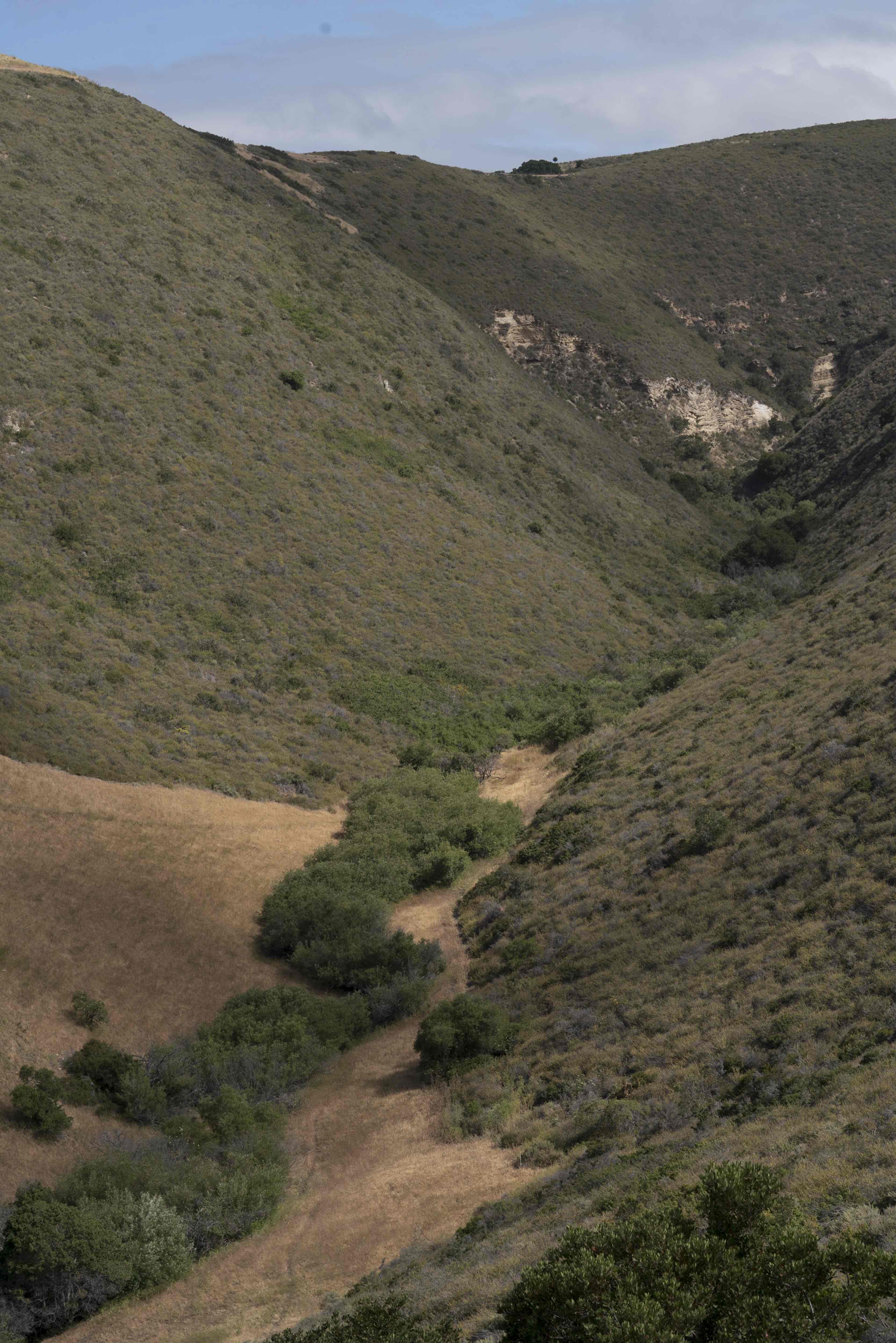 Humedales de la reserva Dangermond