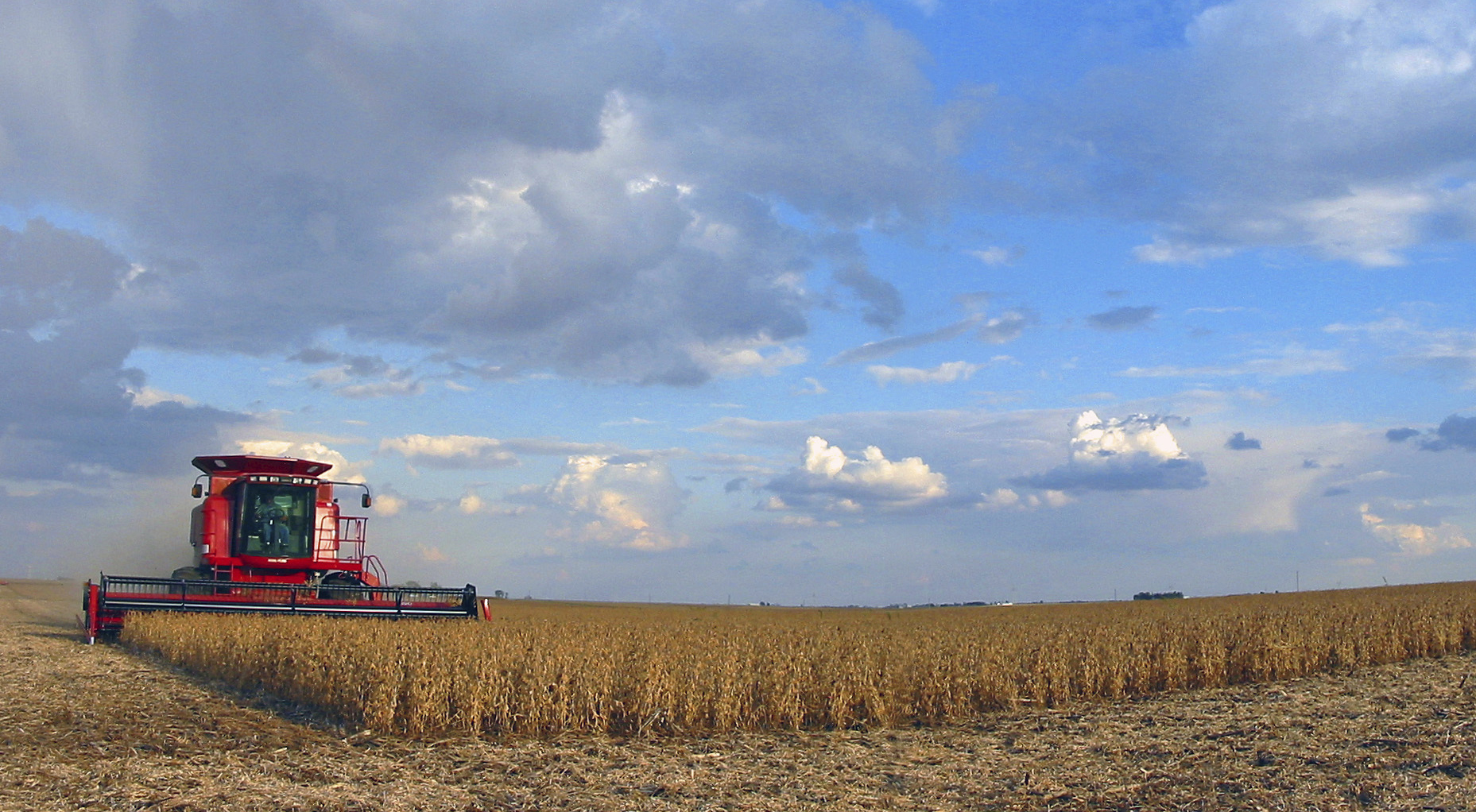 A combine harvesting on The Franklin family farm.