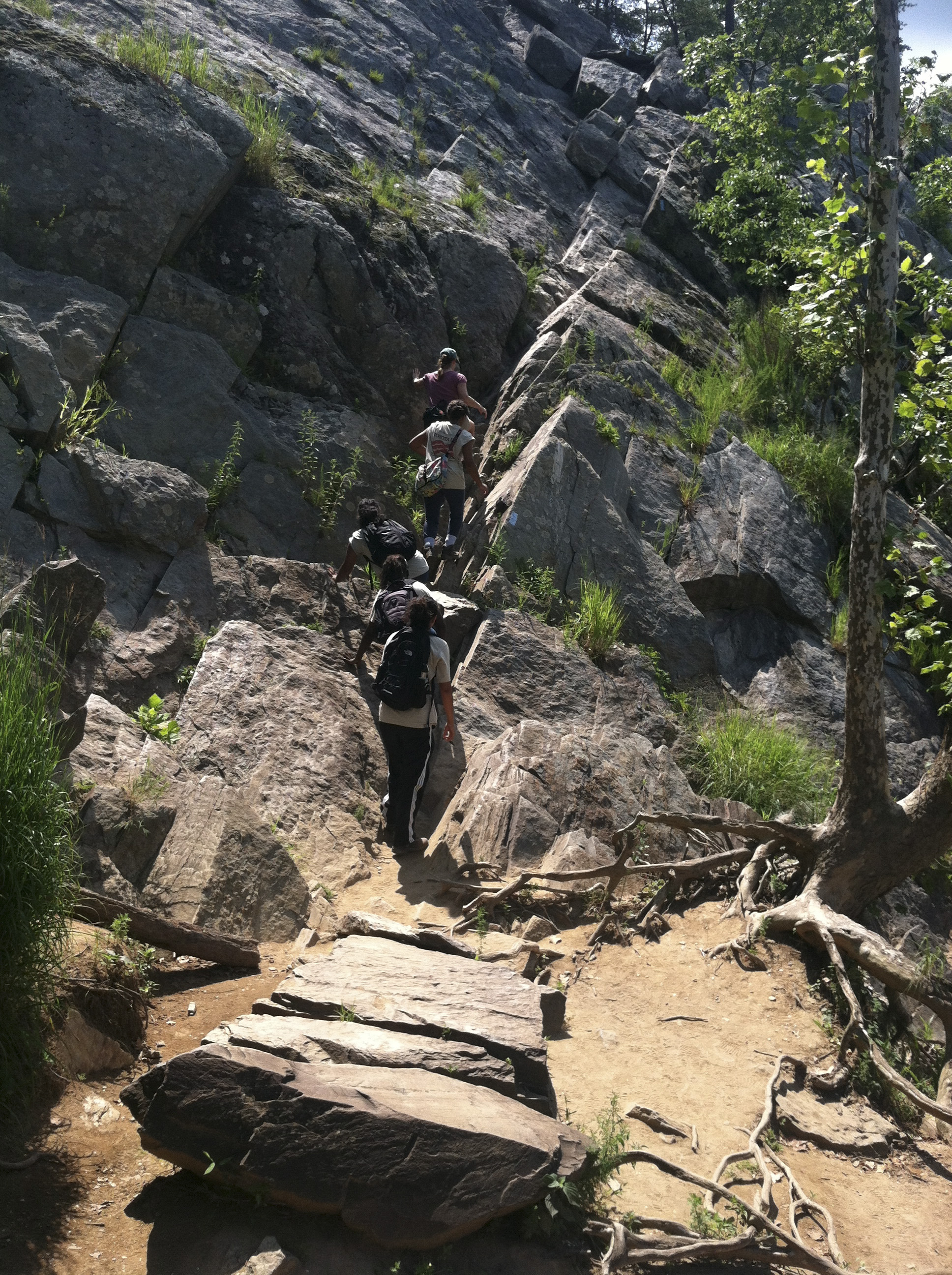 Hikers ascend a trail that includes a steep, rocky climb.