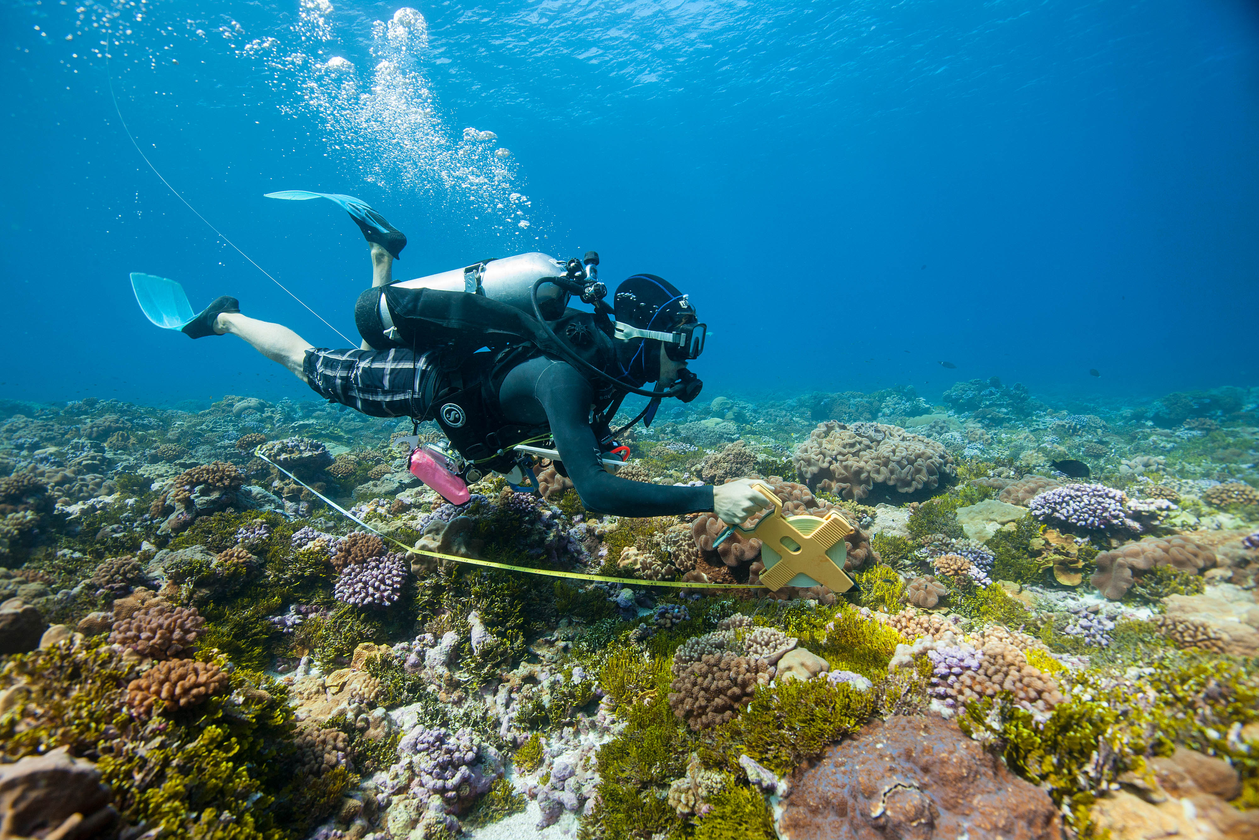 marine monitoring