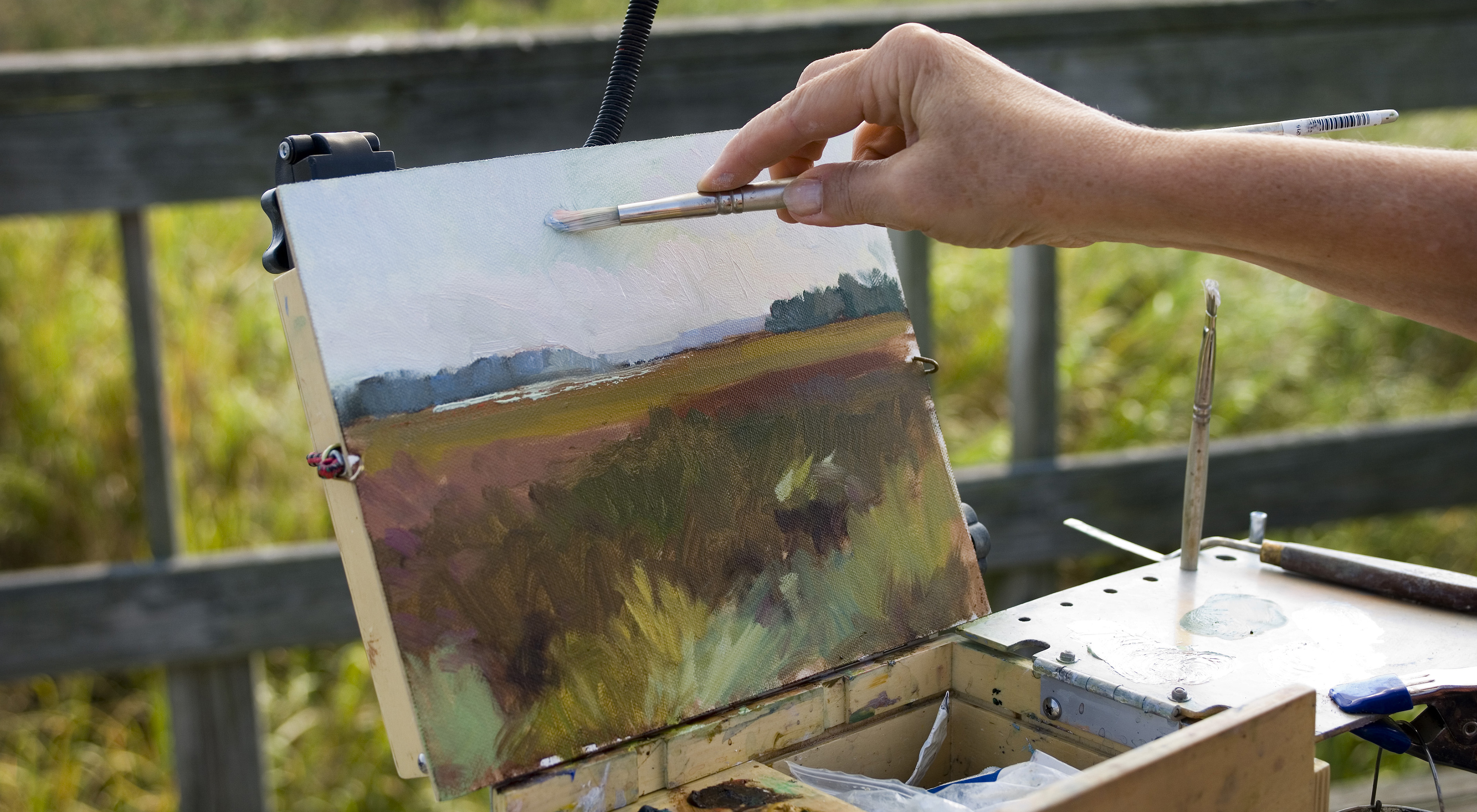 Artist Nancy Tankersley works on a plein air oil study of the landscape at King's Creek/Choptank Wetlands preserve. 