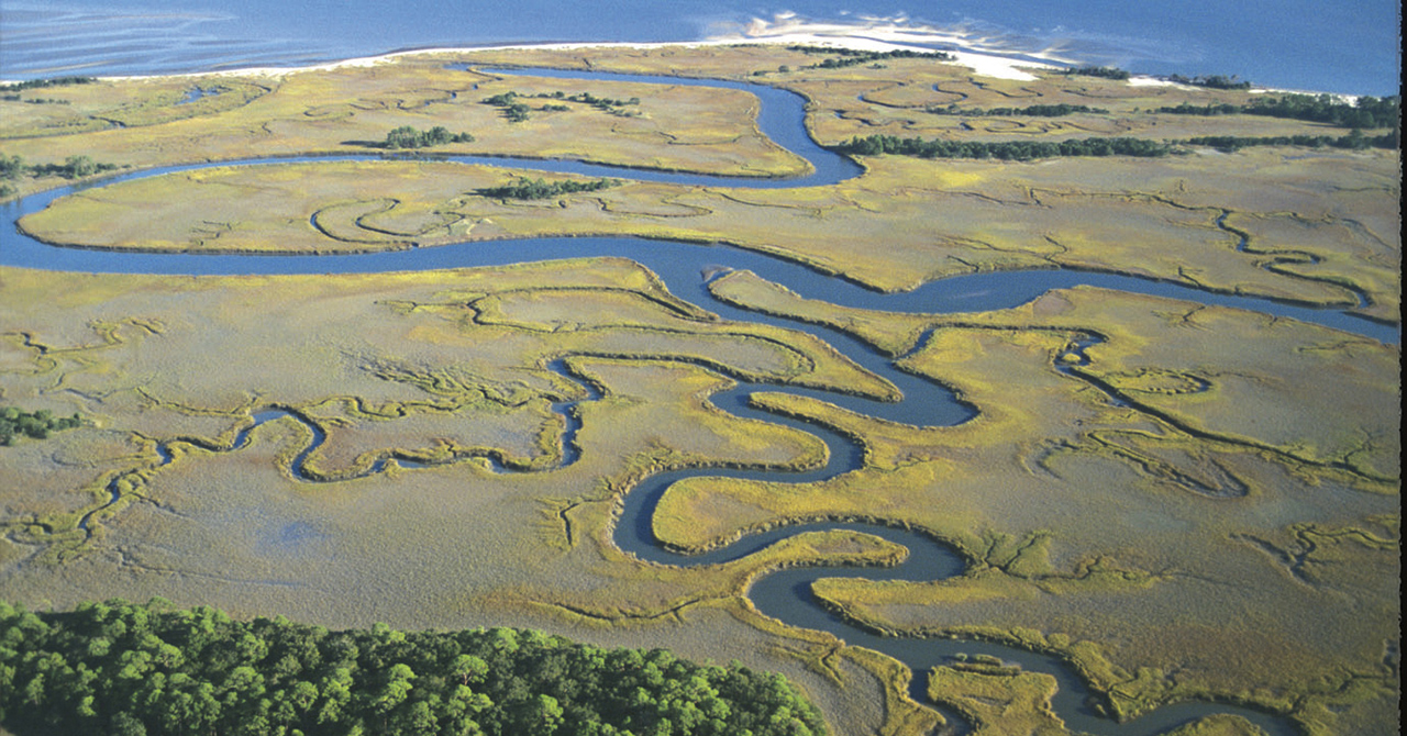 An aerial view features twisting streams with the ocean in the background.