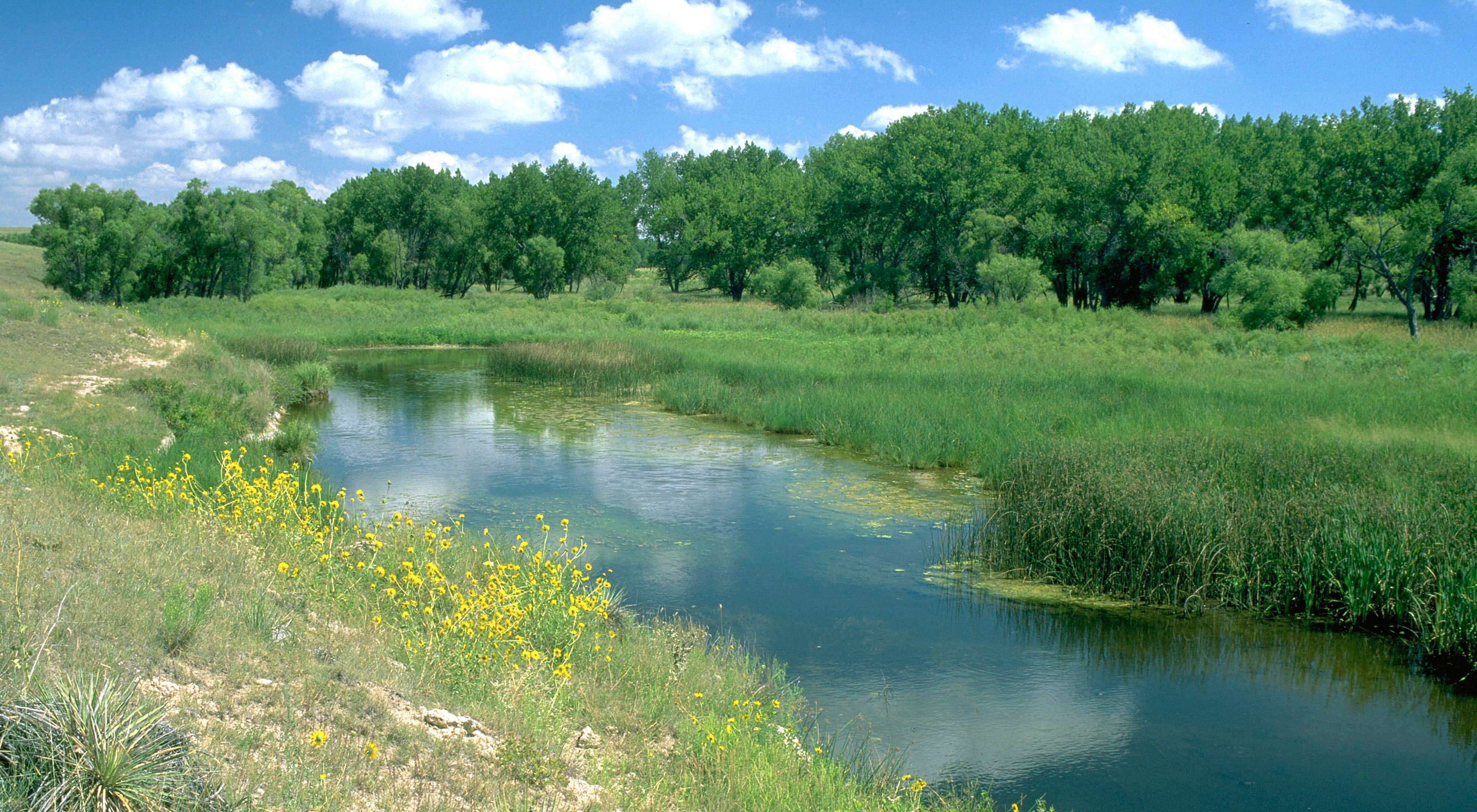 A river flows through green riparian habitat.