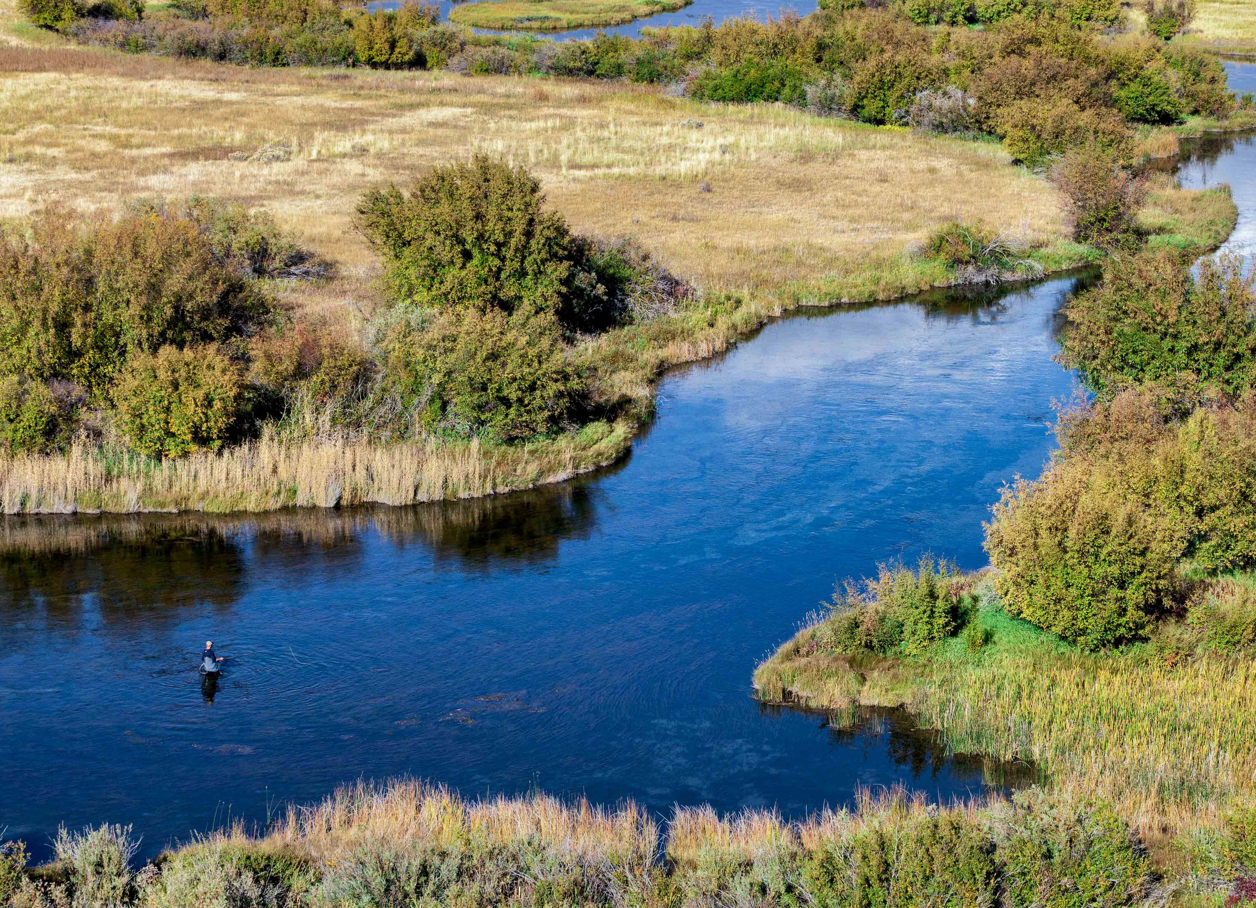 Aerial image of angler wading in middle of creek.