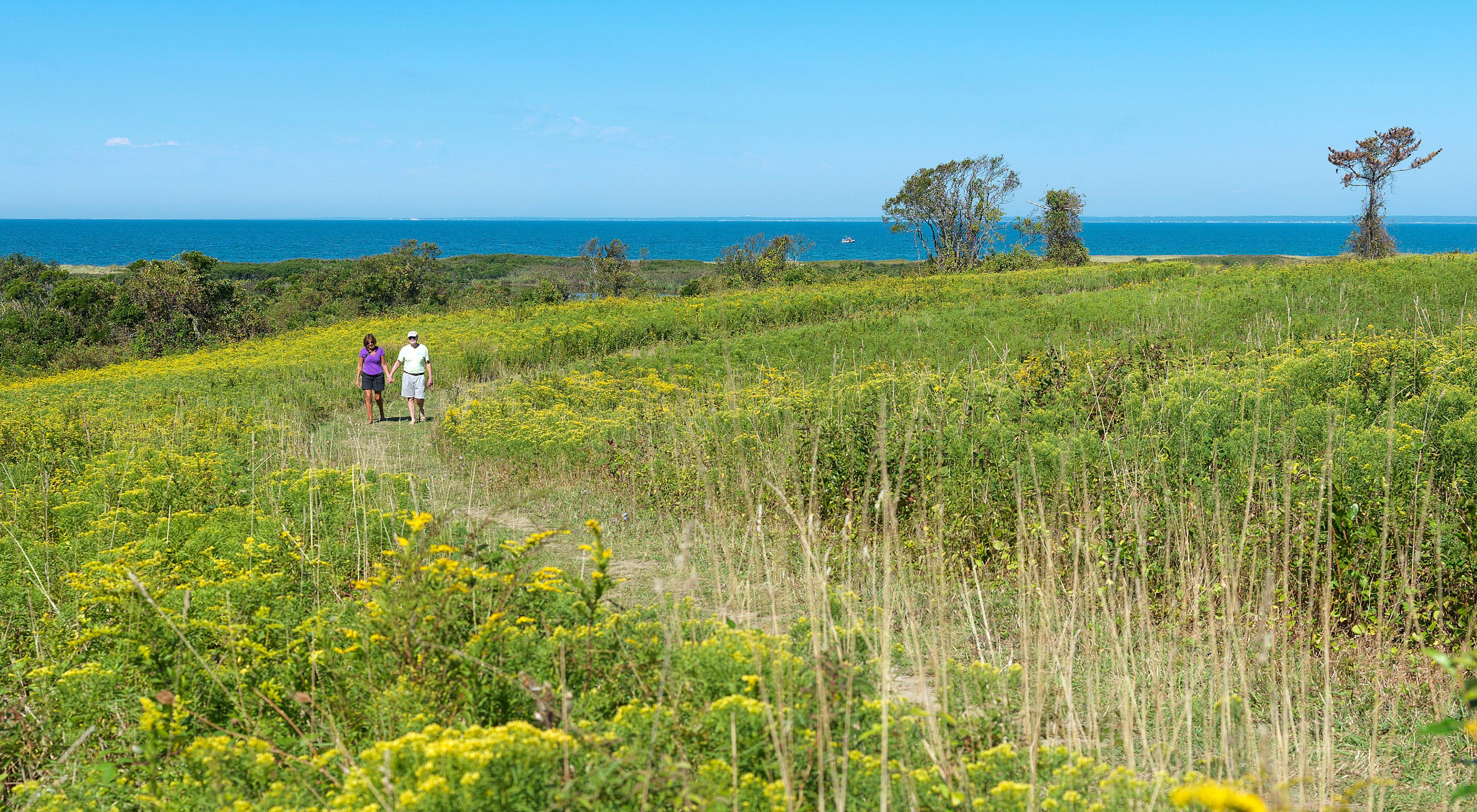A dirt trail winds through a meadow with the ocean in the distance.