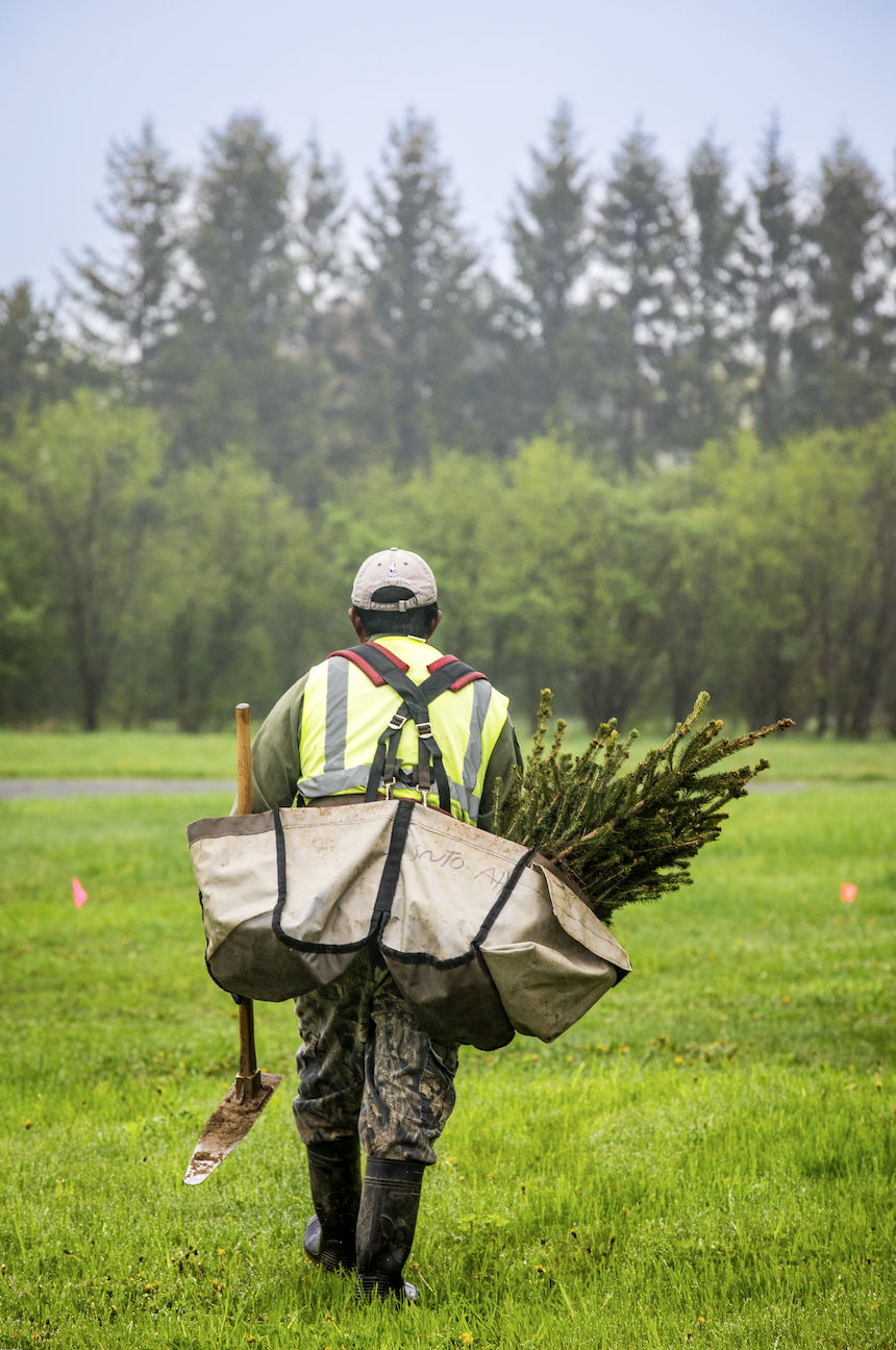 man with seedlings on his back
