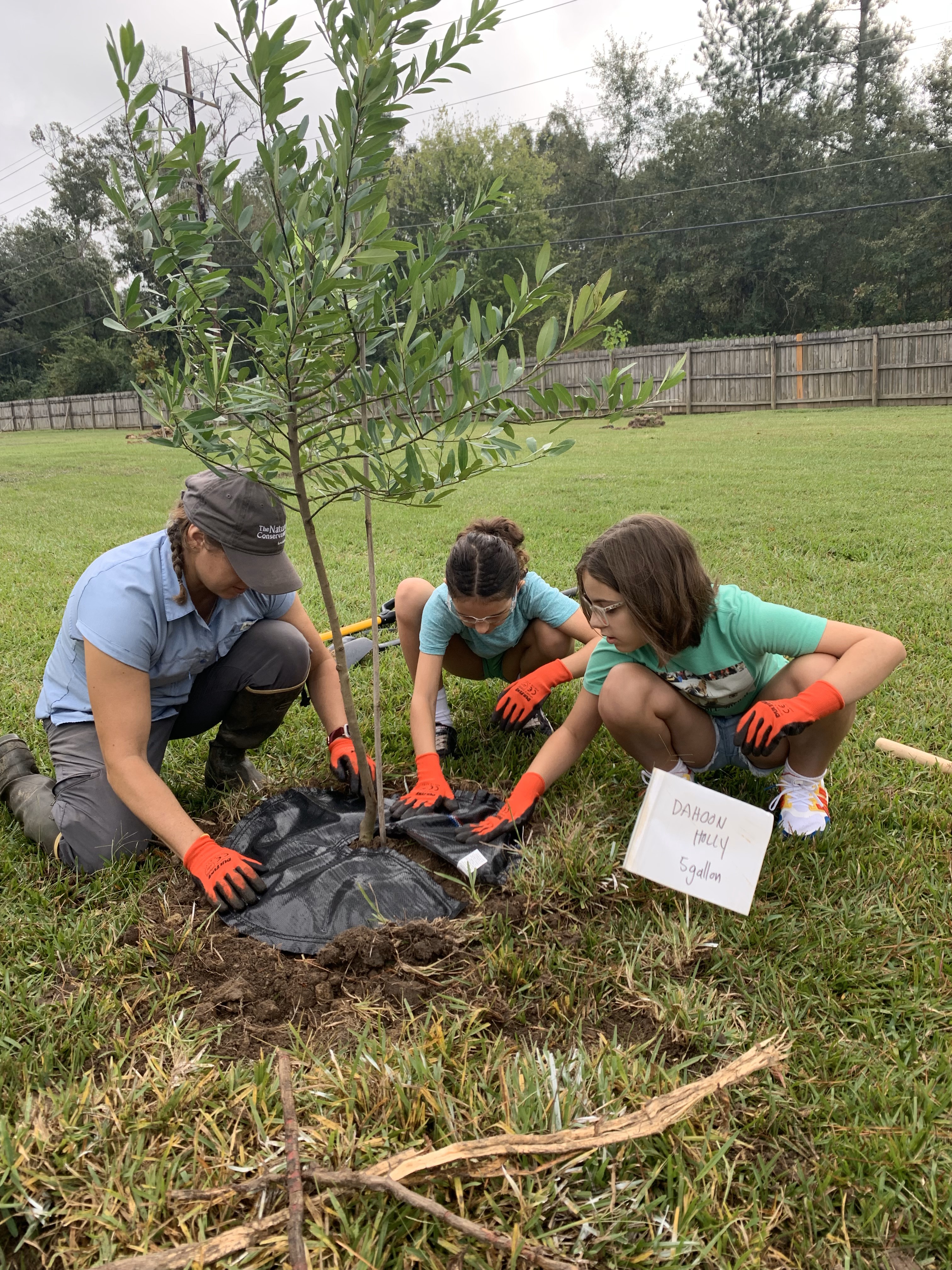Three people plant a tree in a park.