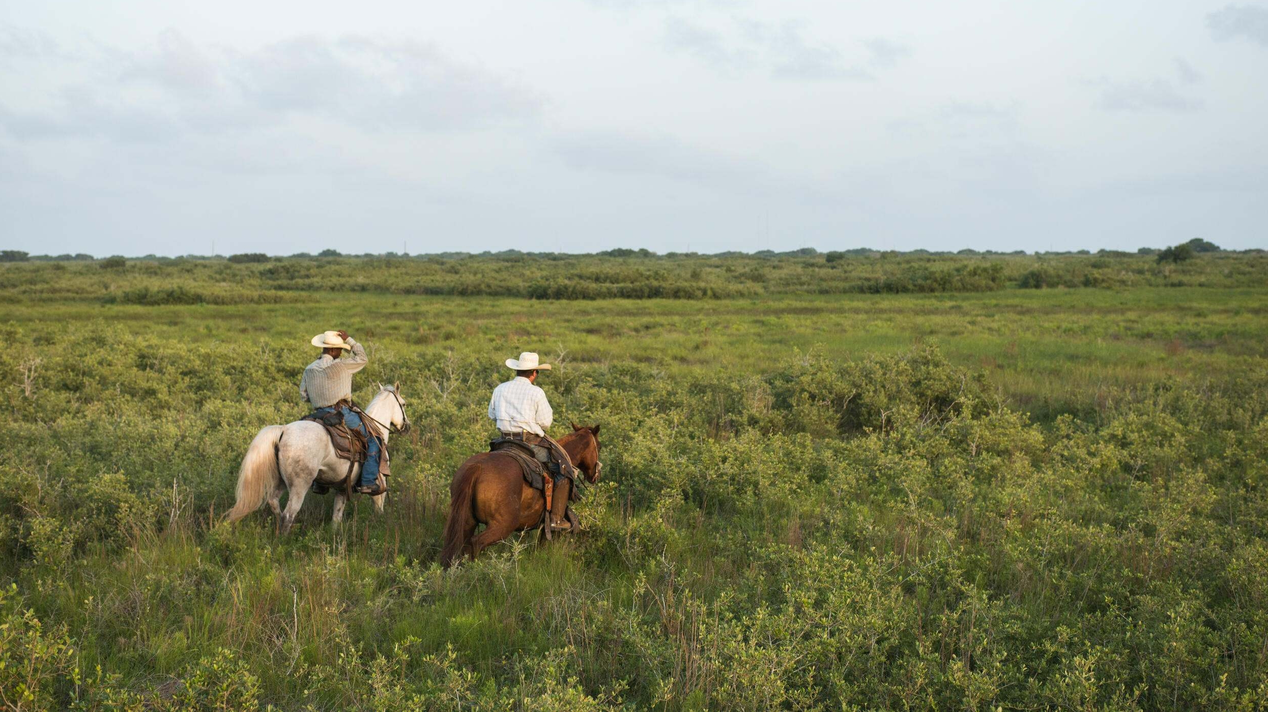 Dos personas a caballo cabalgan a través de pastos altos a través de un amplio campo.