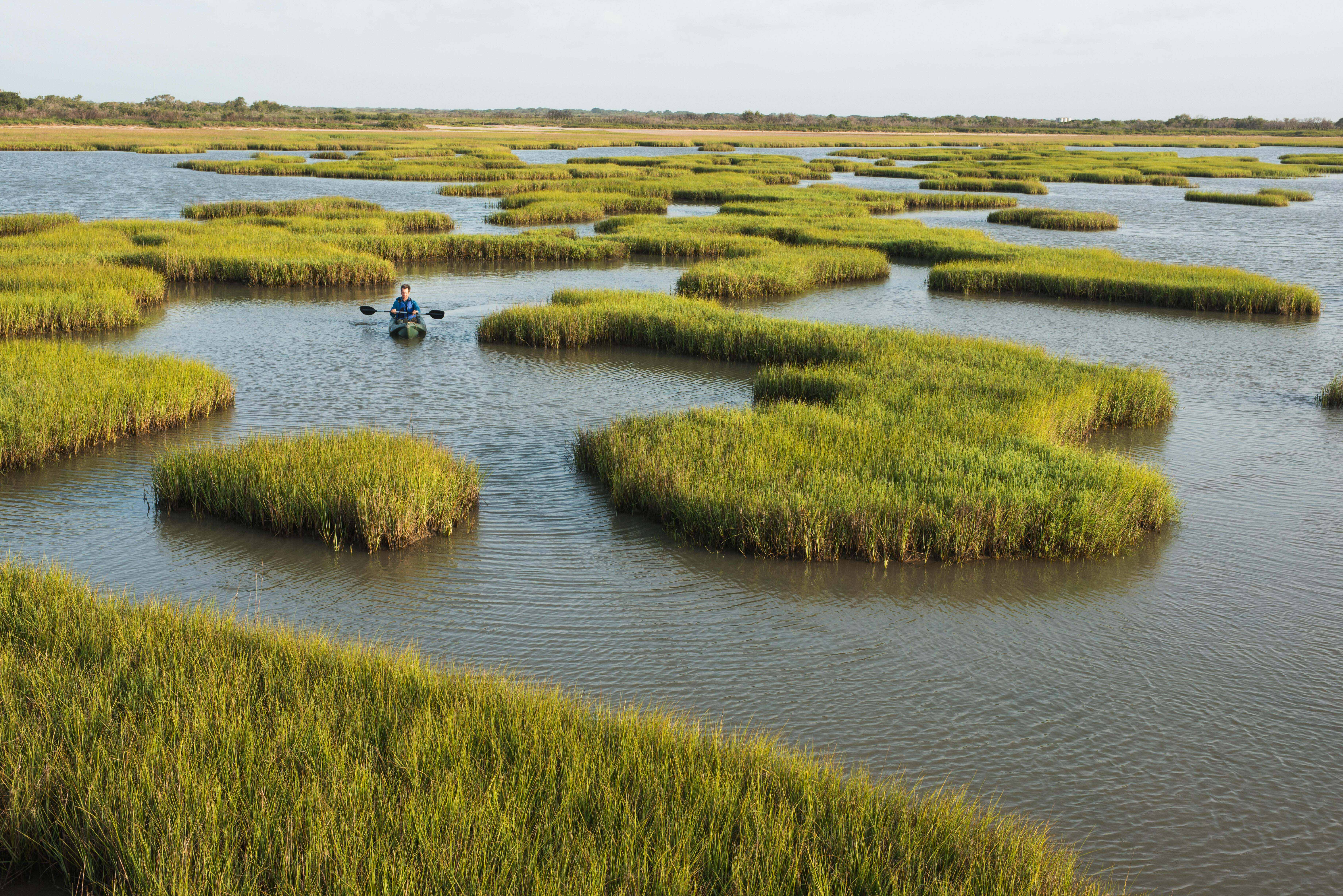 A kayaker paddles through a maze of green marsh.