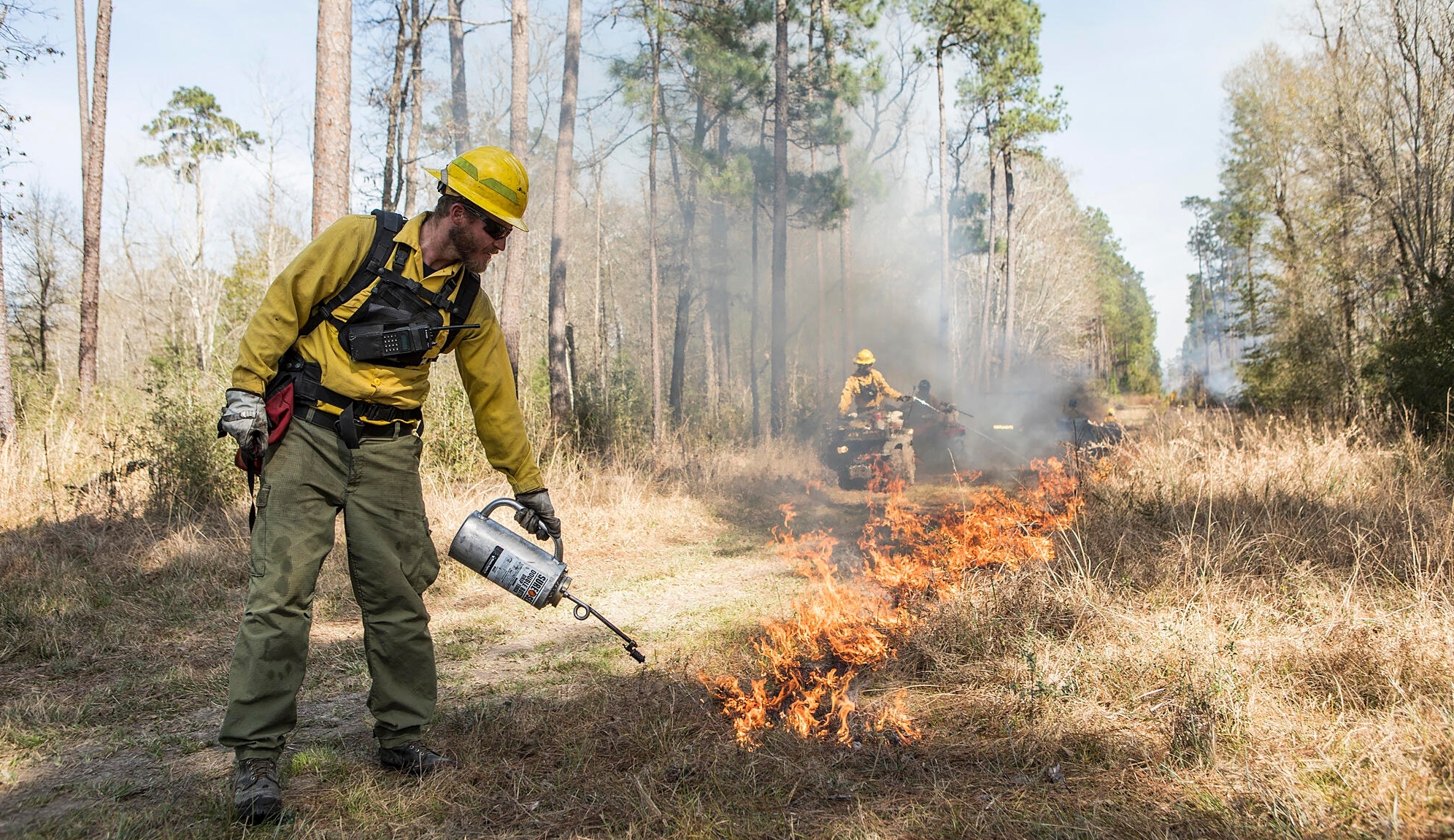 Playing with Fire  National Wildlife Federation