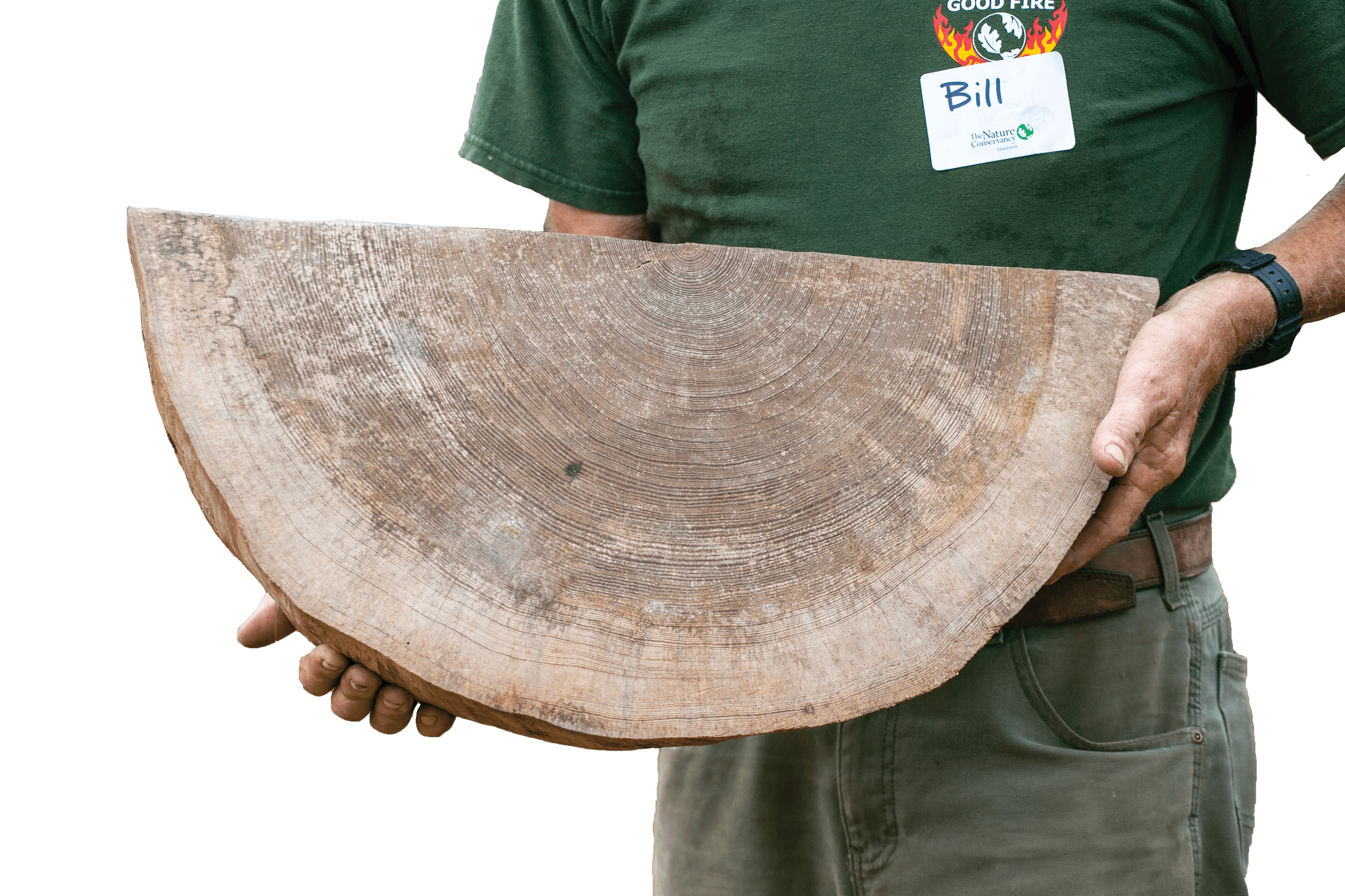A person with a green shirt holds a piece of a tree trunk.