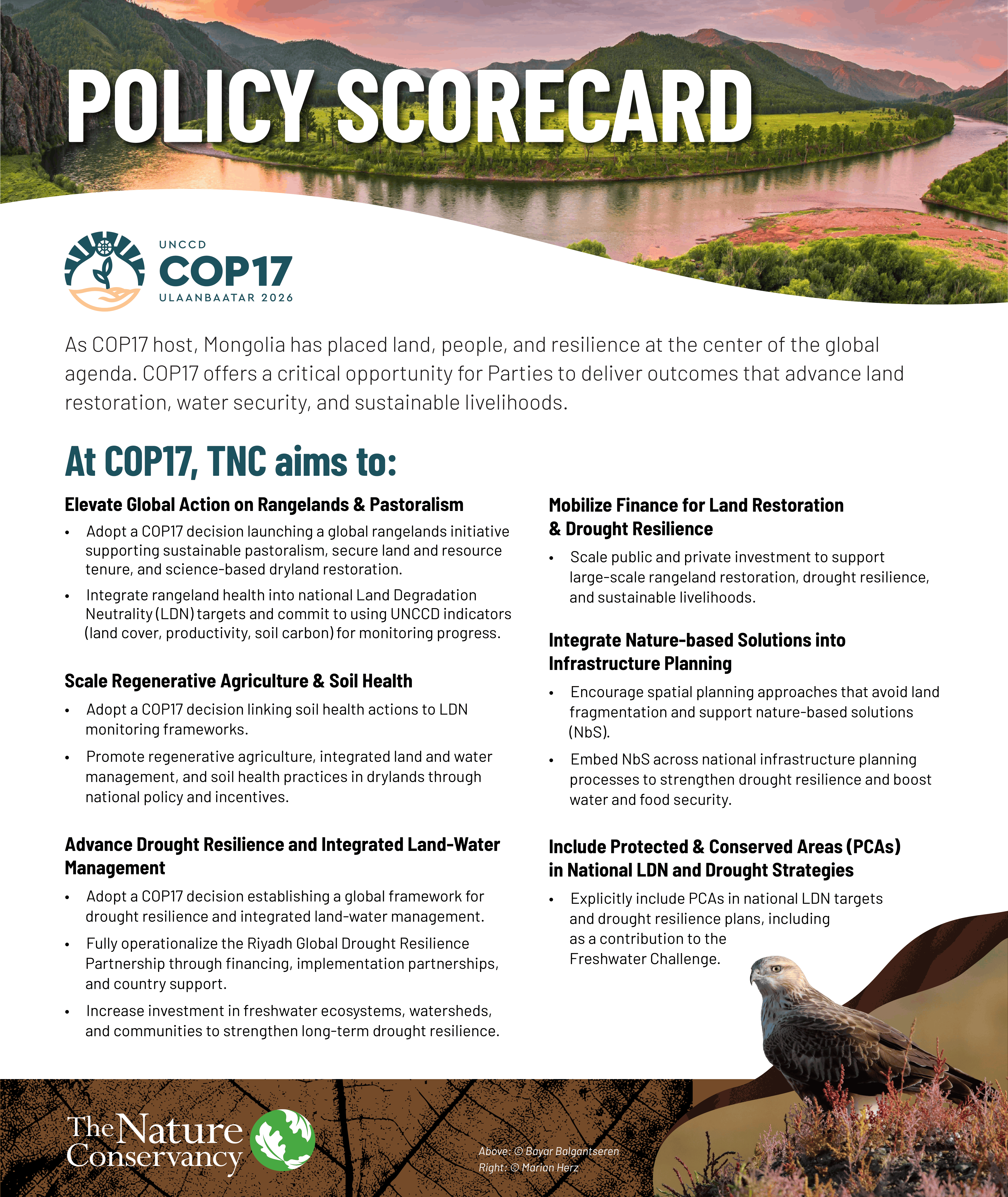 Overview of TNC's Policy Scorecard for UNCCD COP17. 