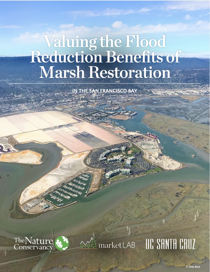 Cover page of the Valuing the Flood Reduction Benefits 
