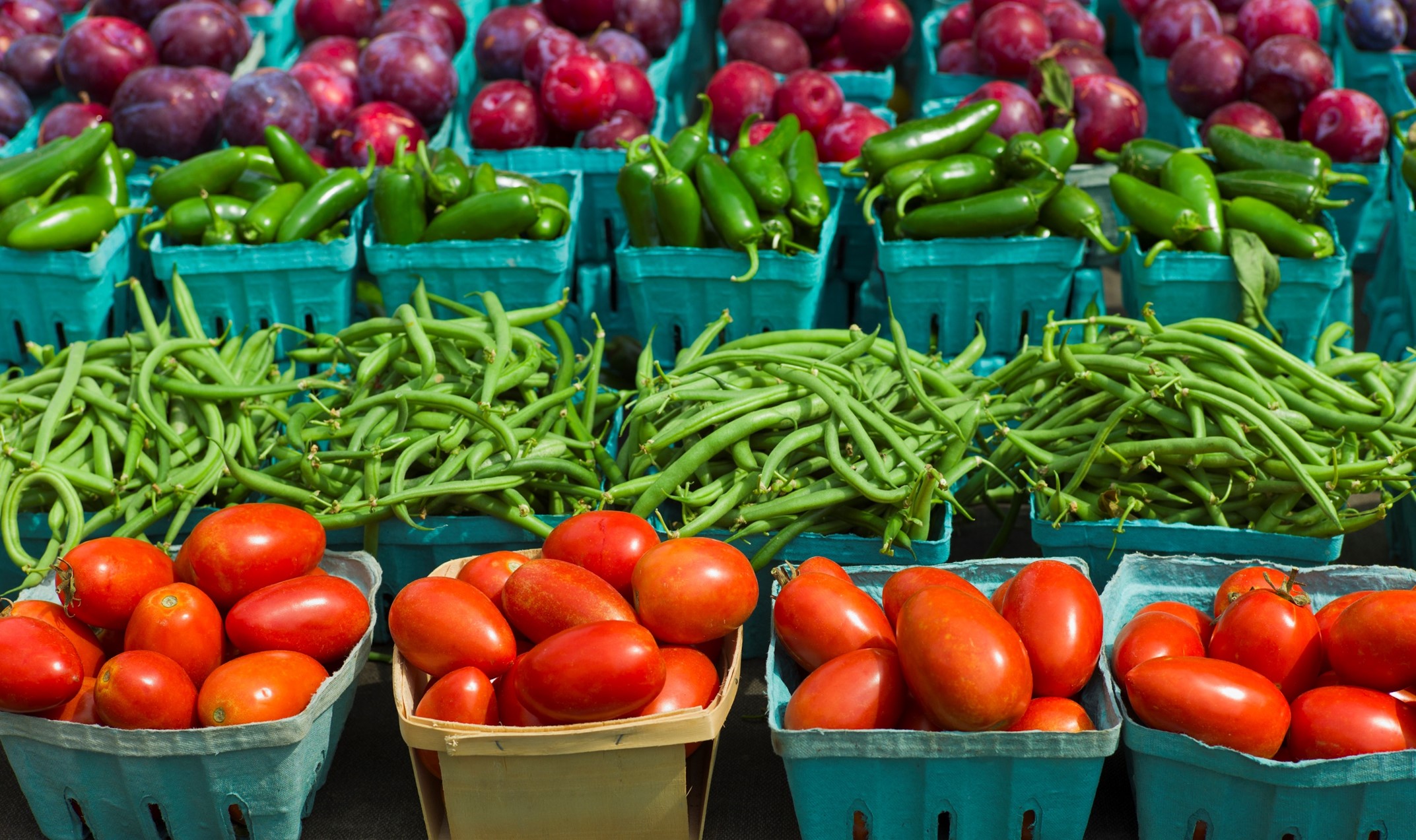 Rows of fresh produce.
