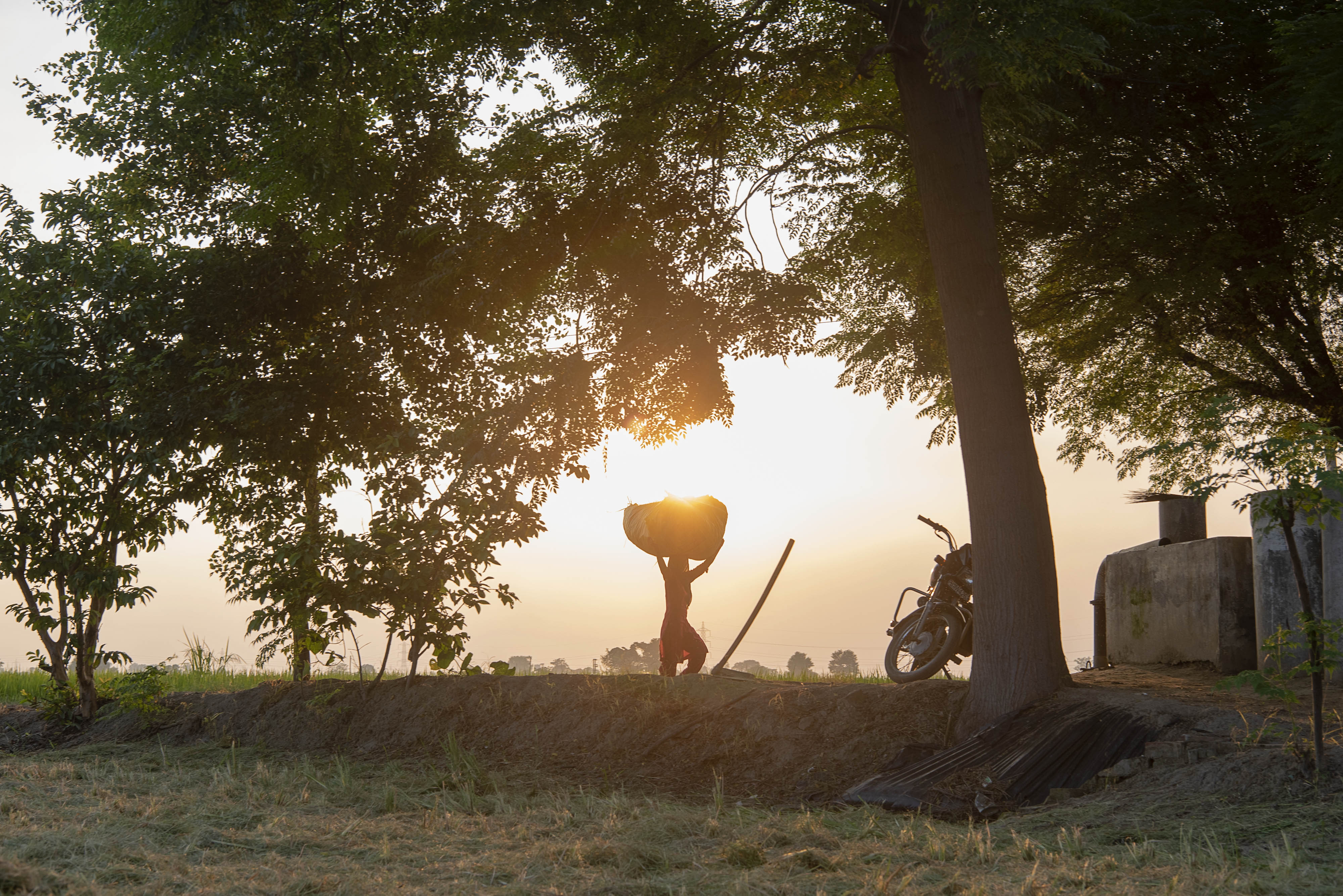 figure carrying straw bale near trees at sunset 