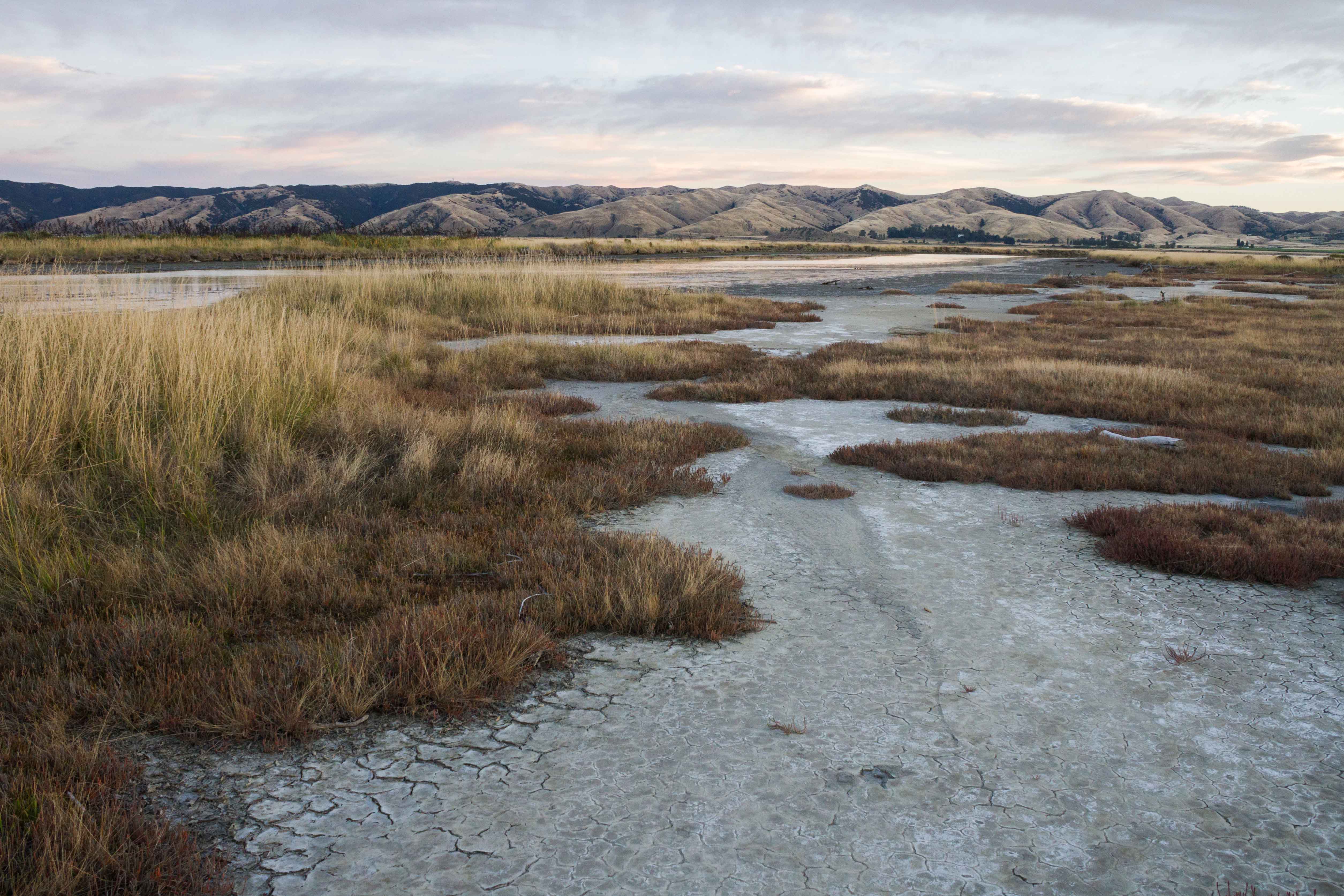 wetland