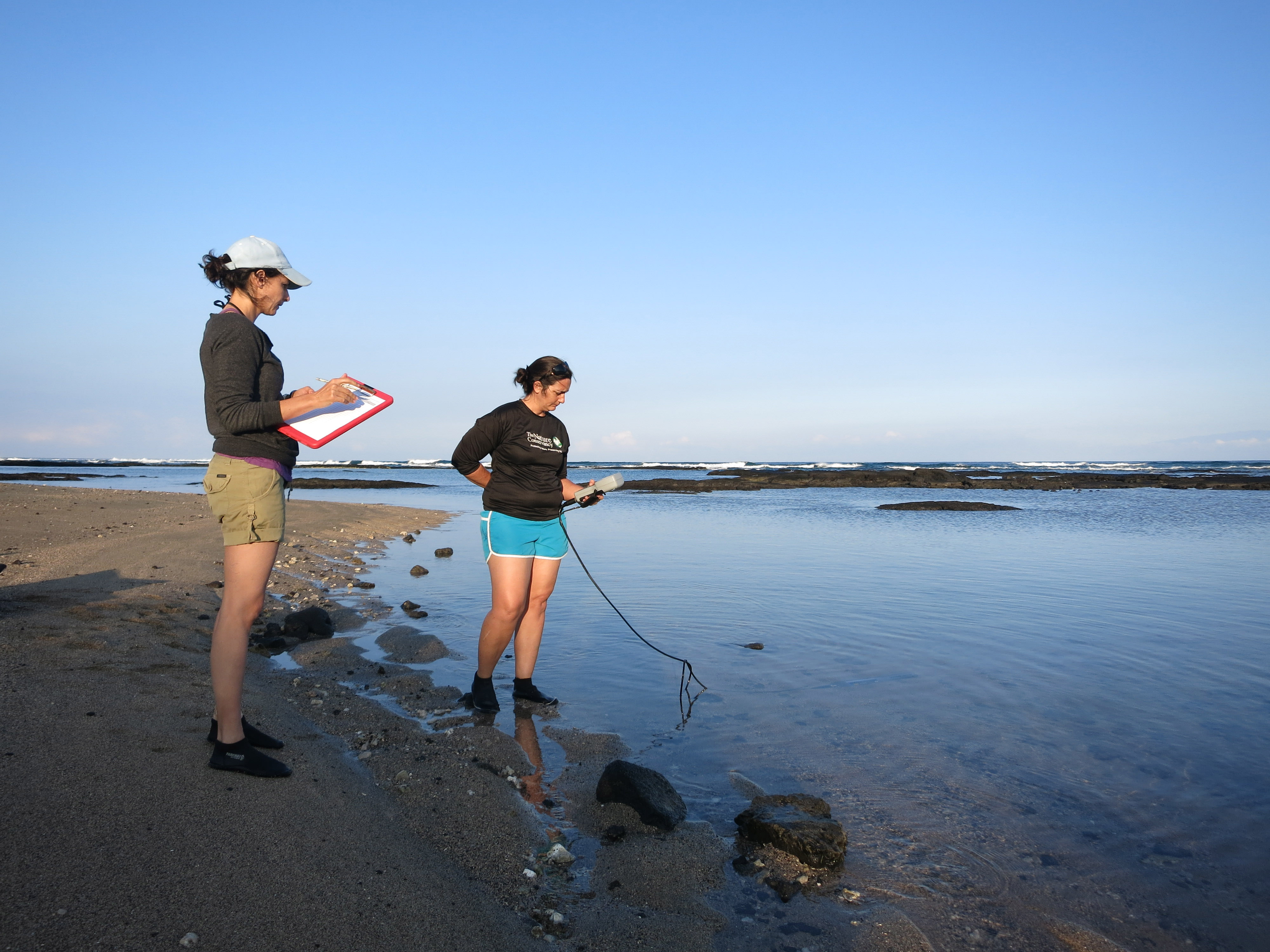 TNC staff and trained volunteers conduct monthly water quality monitoring at Puakō in Hawaiʻi.
