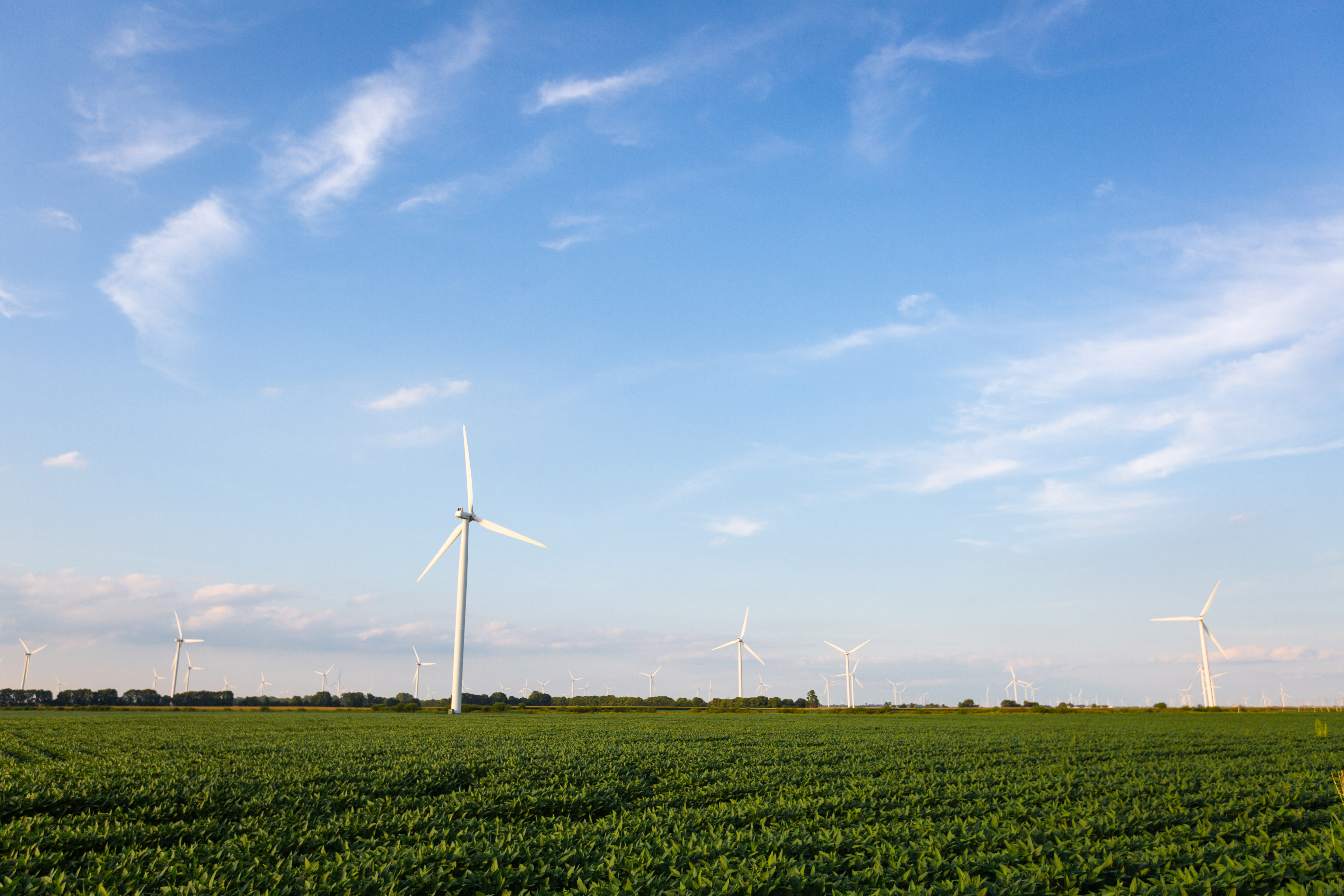 Wind turbines adjacent to Indiana agricultural field. 