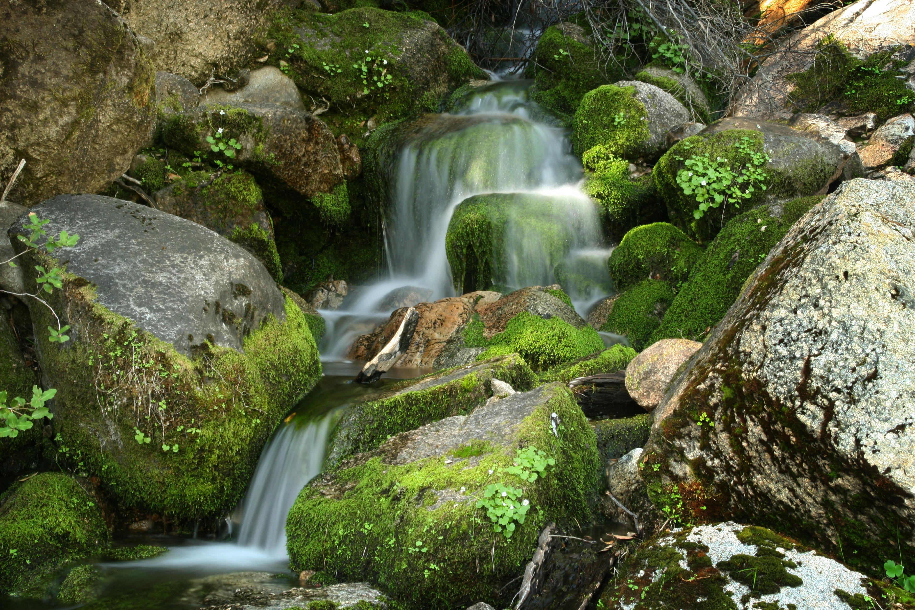 Flowing water in a mossy creek.