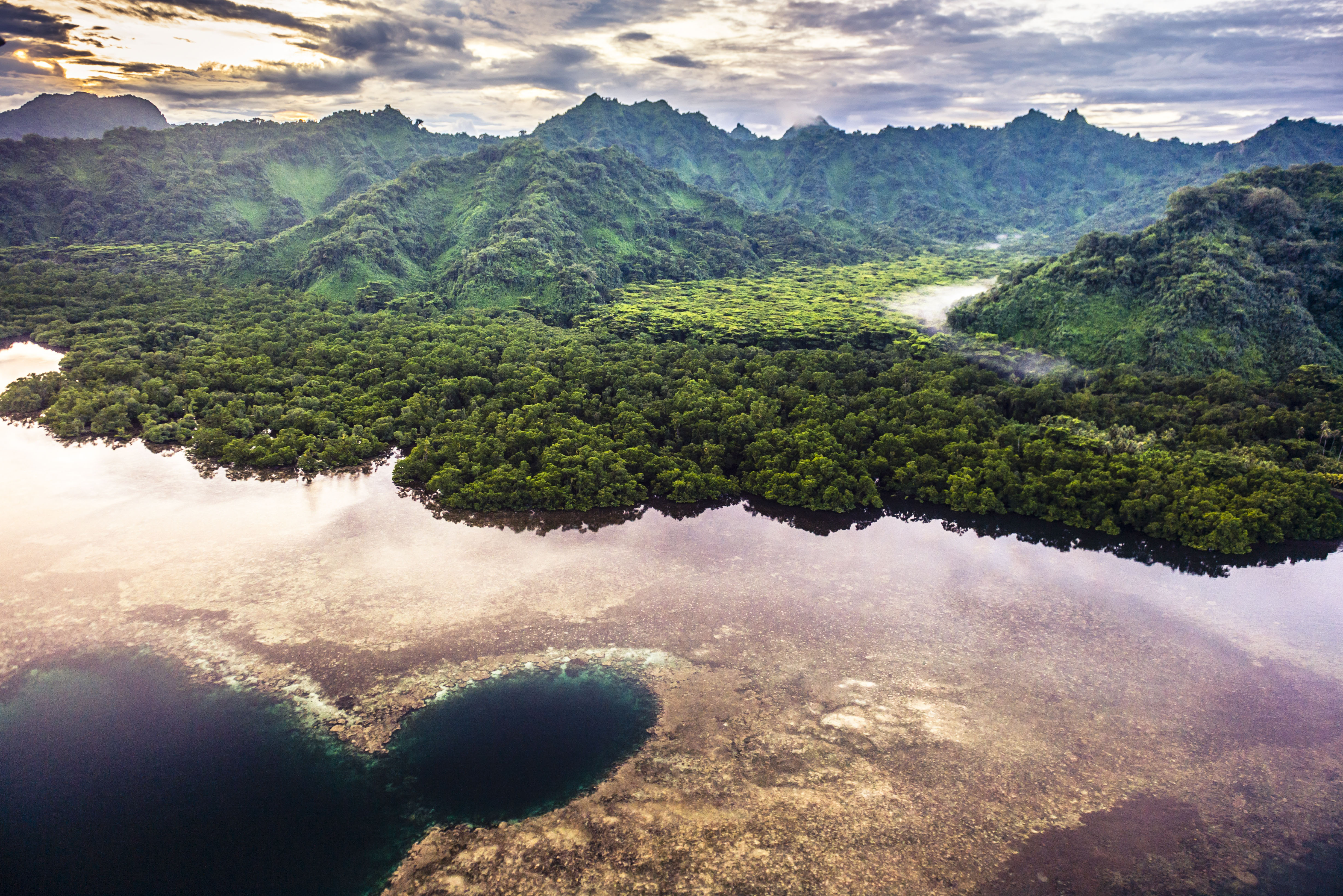 Aerial image of the Yela Forest on Kosrae Island.