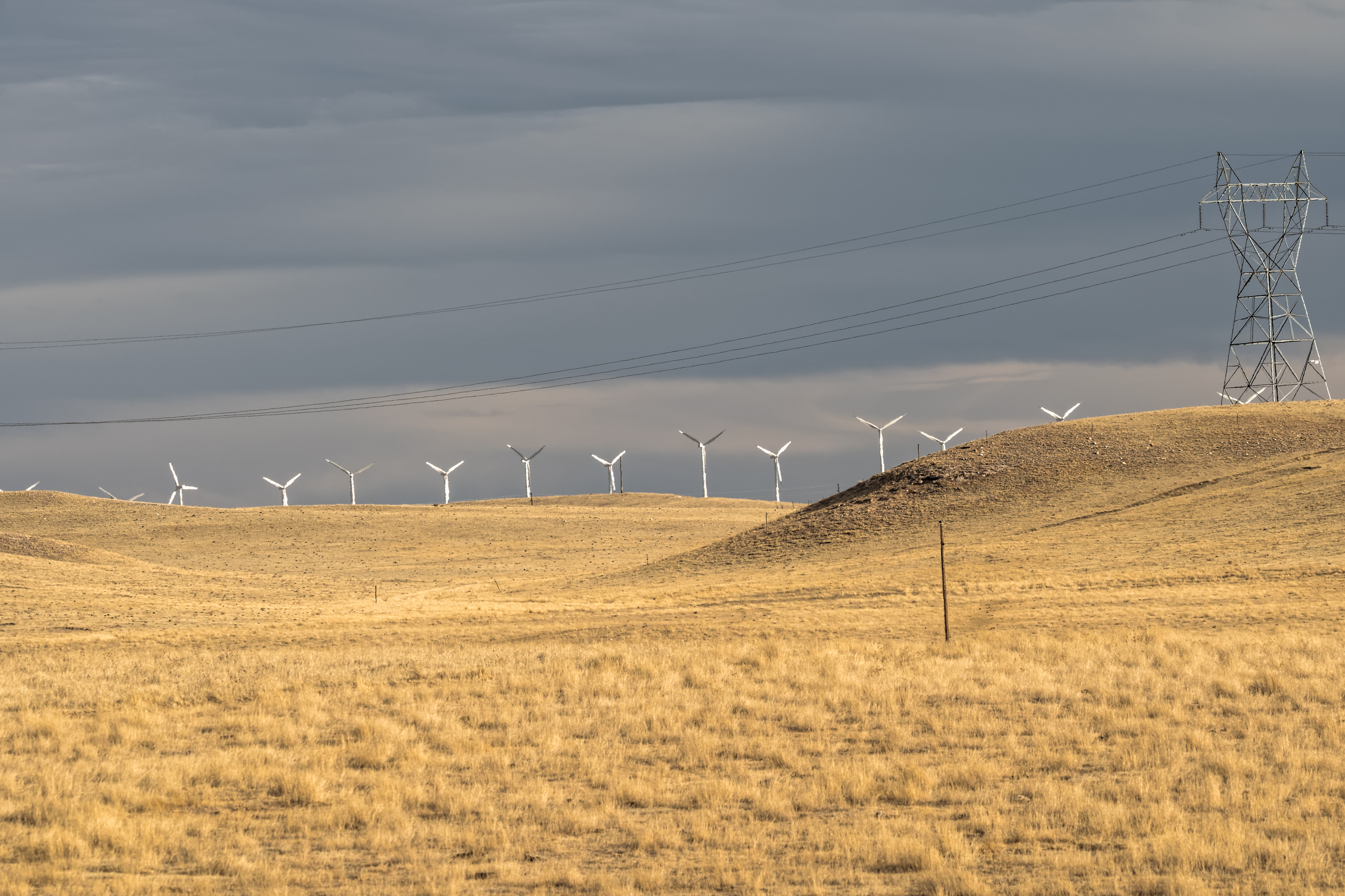 Wind turbines over a yellow field.