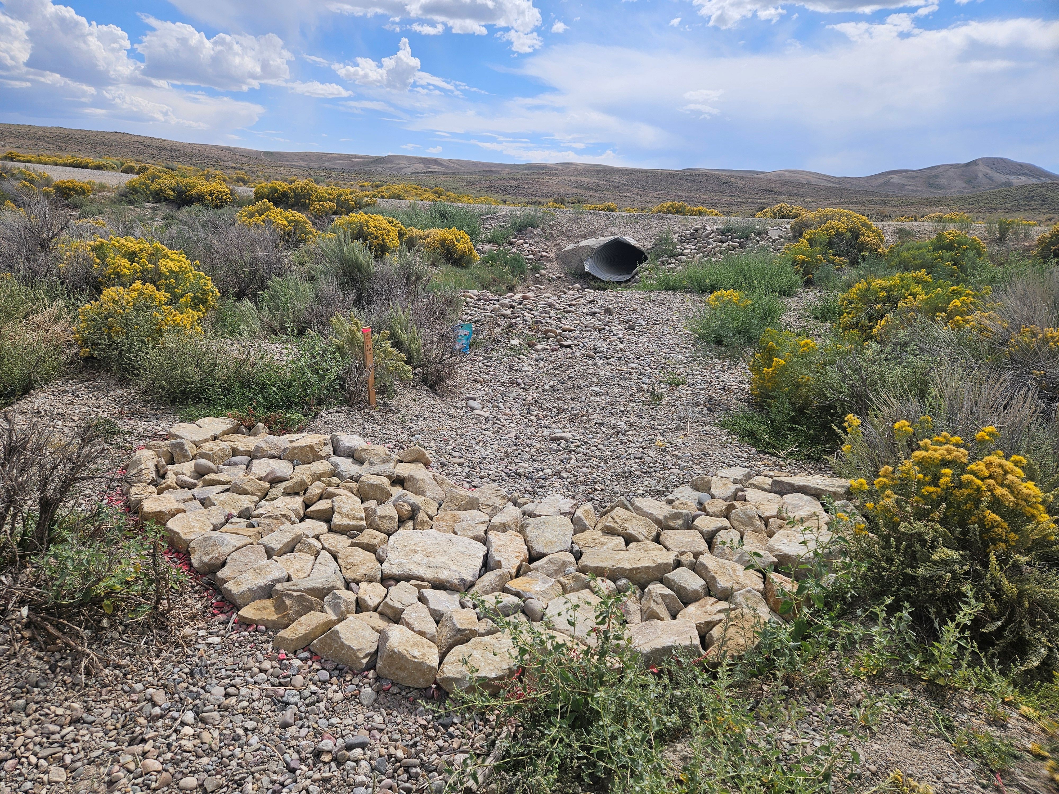 Rock structure in a dry stream with wildflowers blooming along the stream bed.