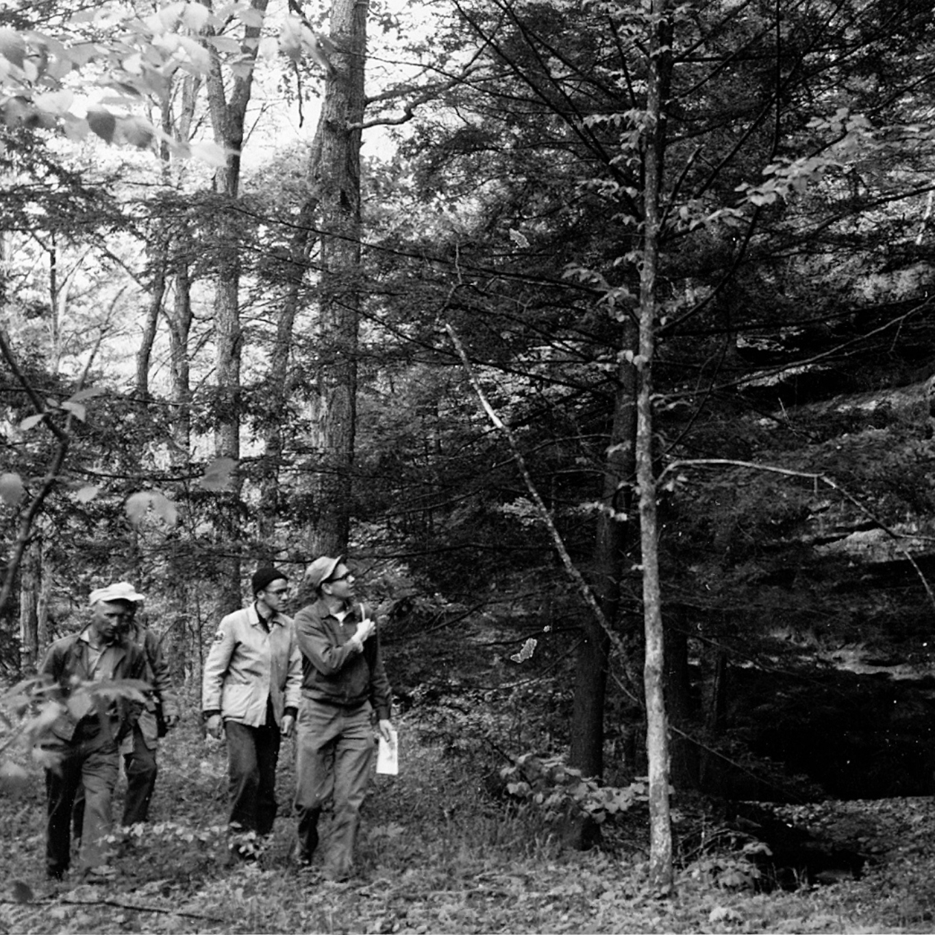 A black and white historical photo of three people standing in a forest looking at a large rock outcrop.