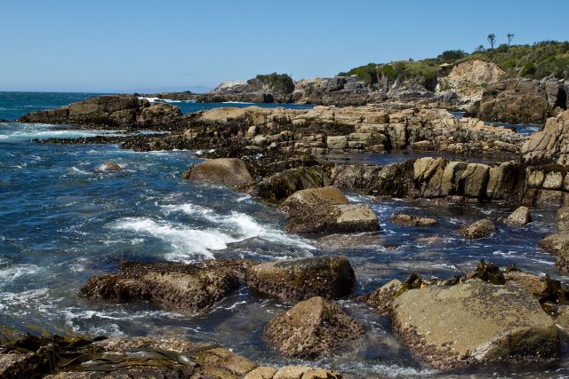 The Loberia en Huiro along Chile’s Valdivia Coast. The Humboldt Current, which flows from the southern tip of Chile to northern Peru, is the most productive marine ecosystem in the world, supporting wildlife and providing livelihoods for thousands of people.  (C) Erika Nortemann/TNC