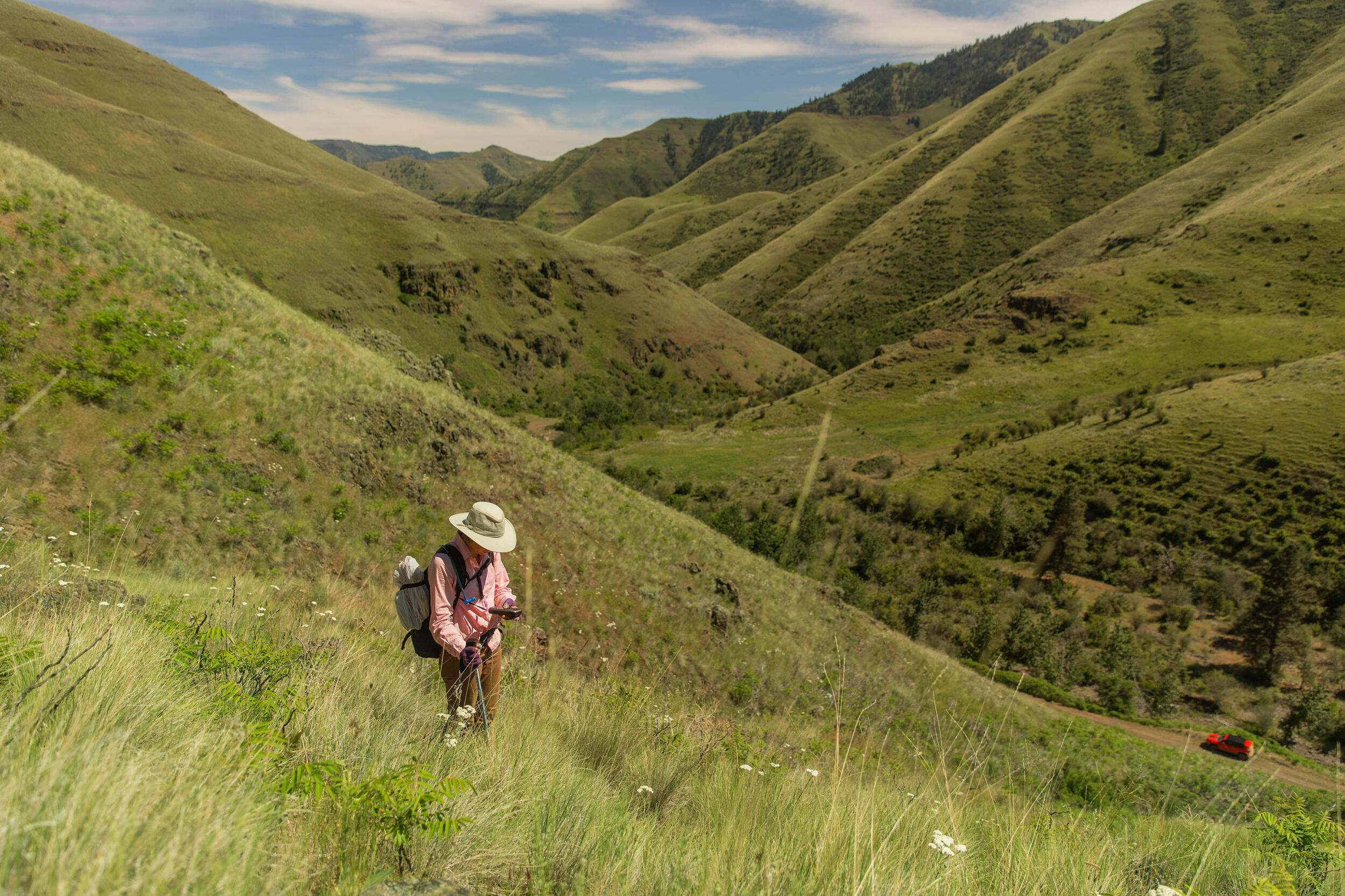 Searching for invasive weeds at TNC's Zumwalt Prairie Preserve, Oregon.