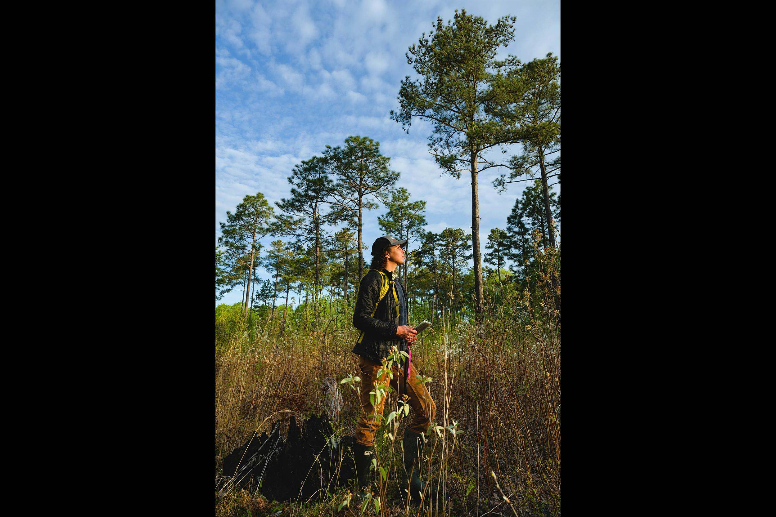Lauren Goodman, a science engagement specialist for TNC, surveys longleaf pine at TNC’s Black Ankle Bog Preserve in North Carolina.