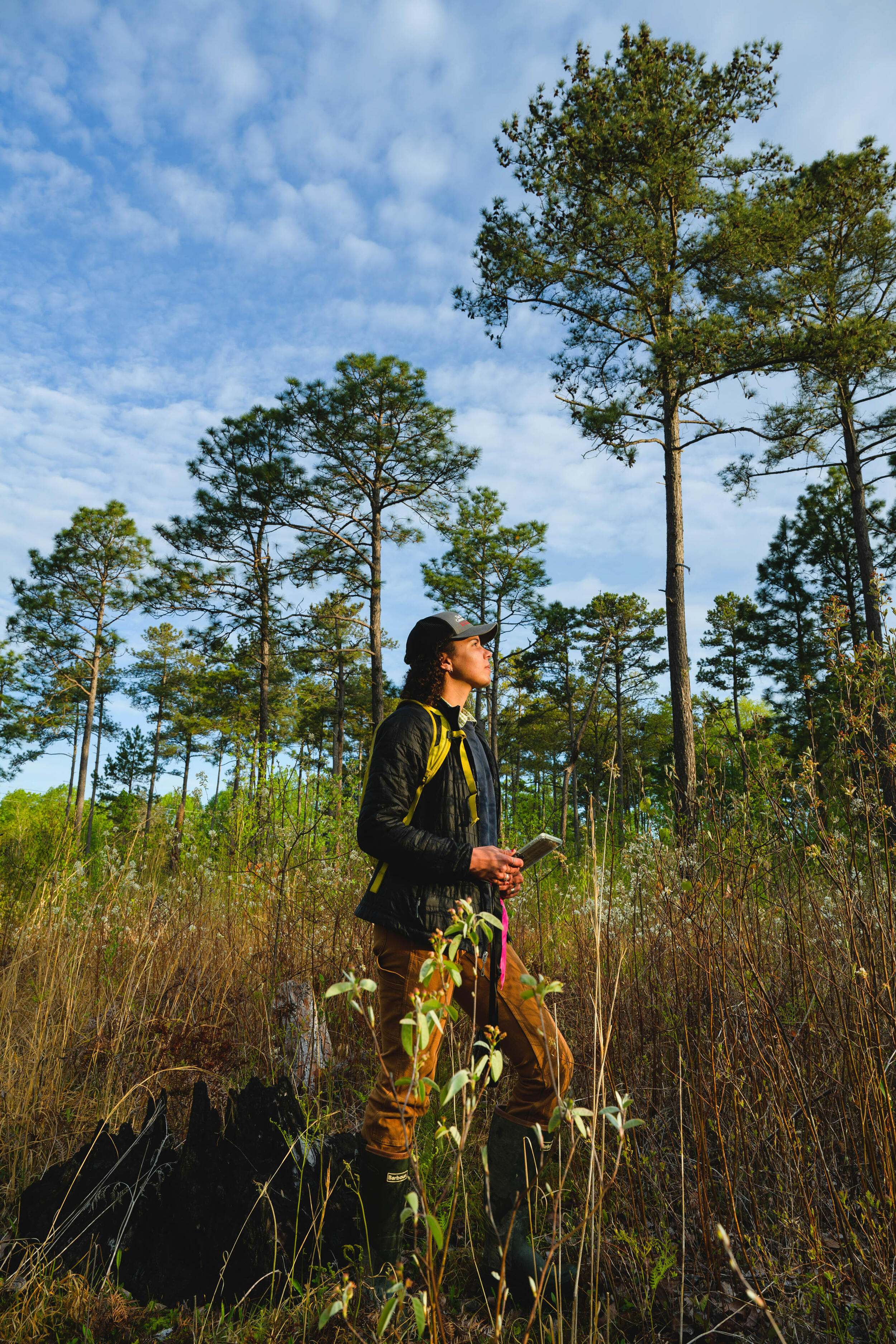 Lauren Goodman, a science engagement specialist for TNC, surveys longleaf pine at TNC’s Black Ankle Bog Preserve in North Carolina.