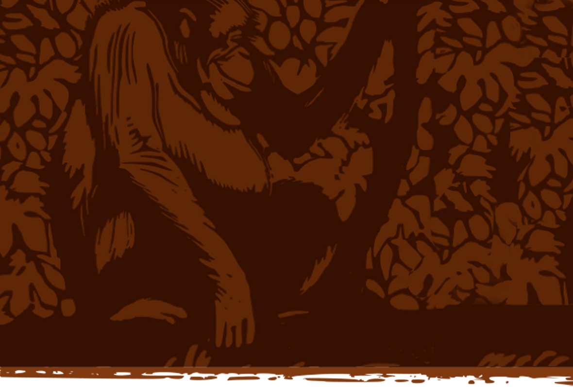 Orangutan